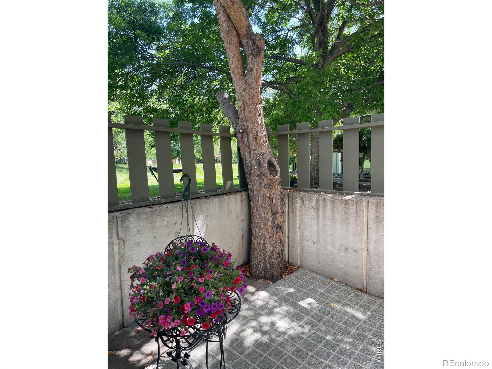 MLS Image #14 for 8060  niwot road,niwot, Colorado