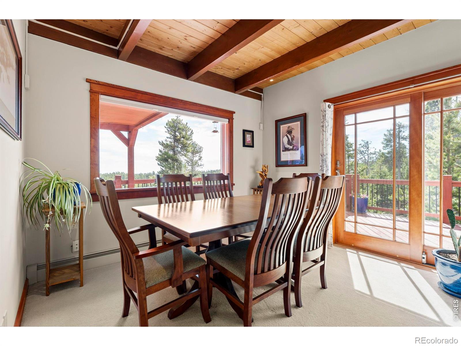 MLS Image #14 for 1109  indian peak road,golden, Colorado