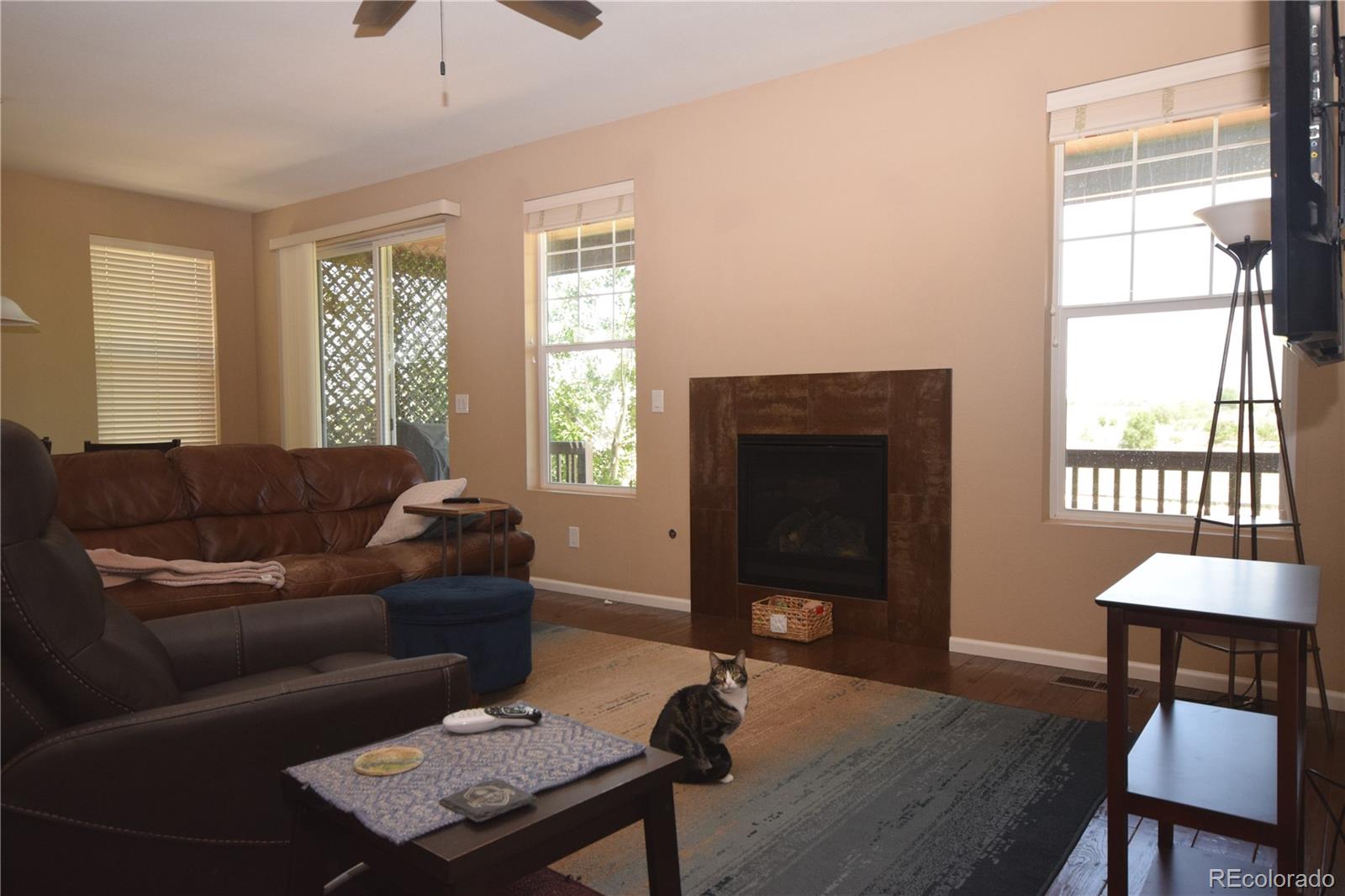 MLS Image #31 for 15982  st paul street,brighton, Colorado