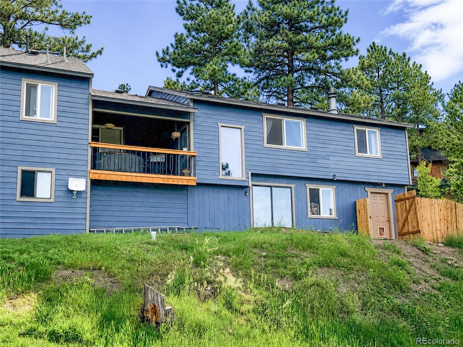 MLS Image #1 for 153  chickadee lane,bailey, Colorado