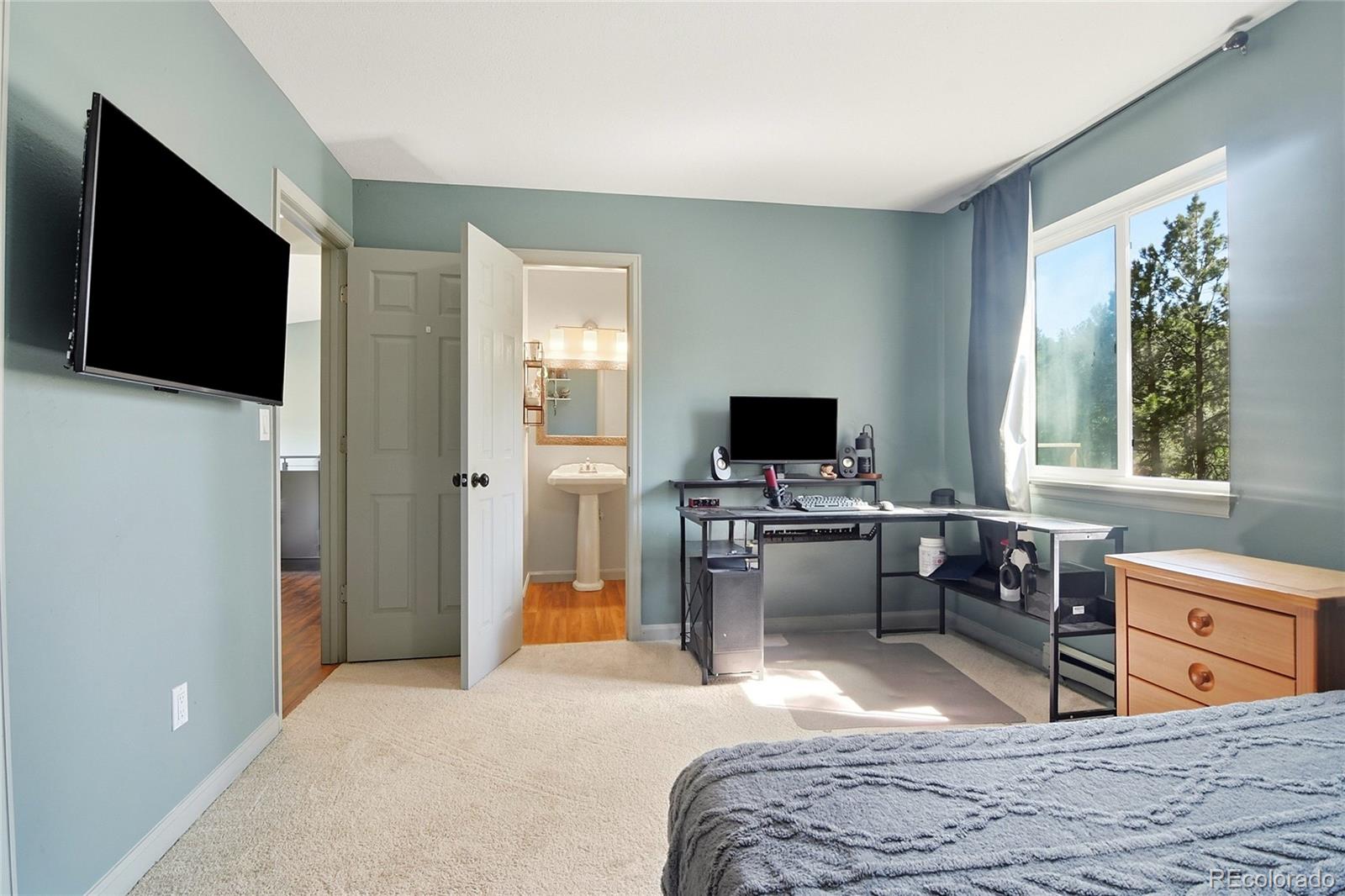 MLS Image #16 for 153  chickadee lane,bailey, Colorado