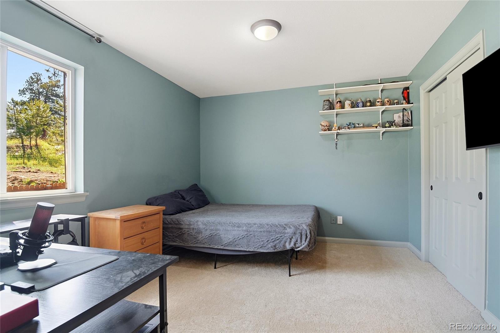 MLS Image #17 for 153  chickadee lane,bailey, Colorado
