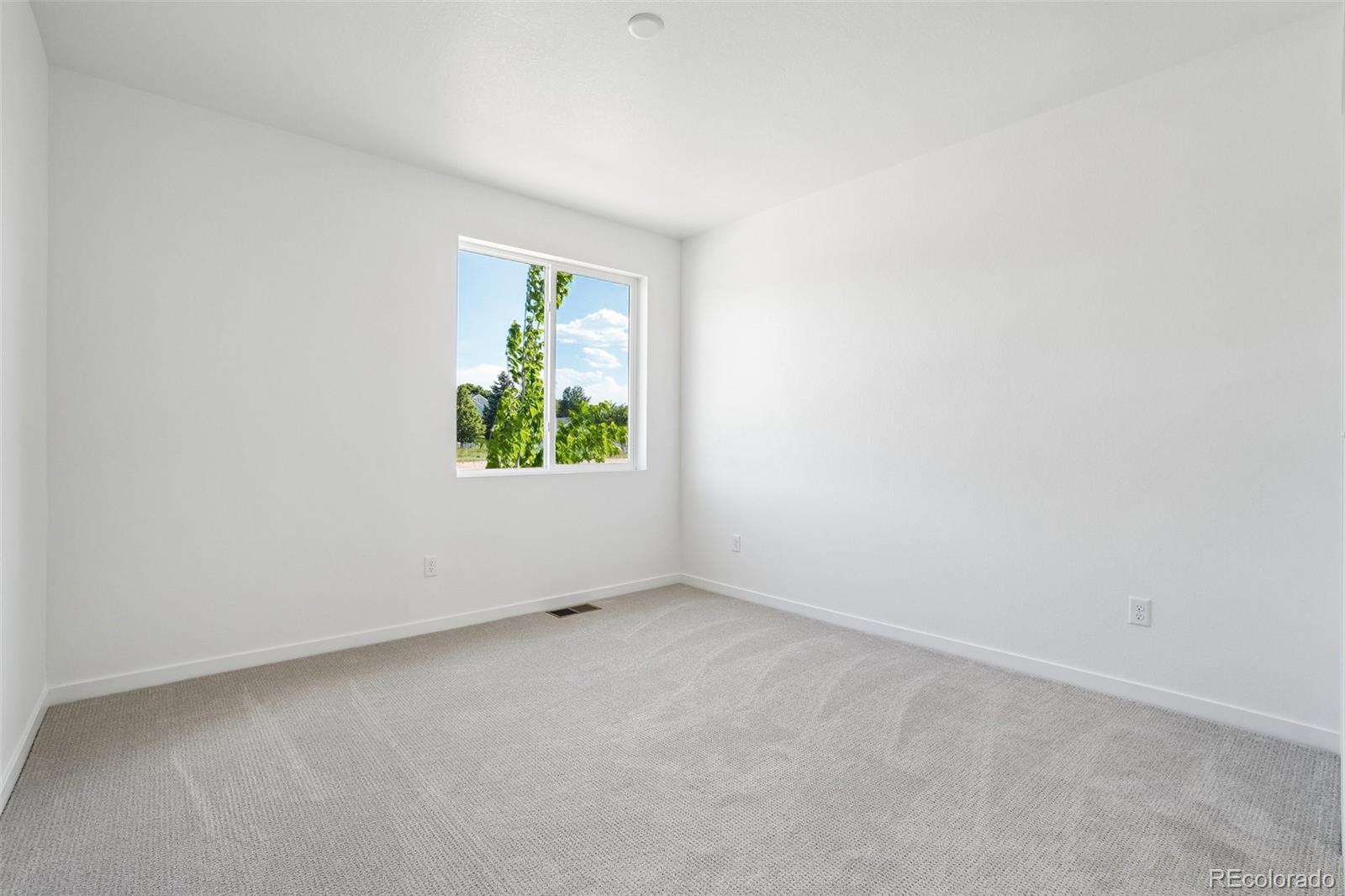 MLS Image #15 for 1460  boyle street,windsor, Colorado