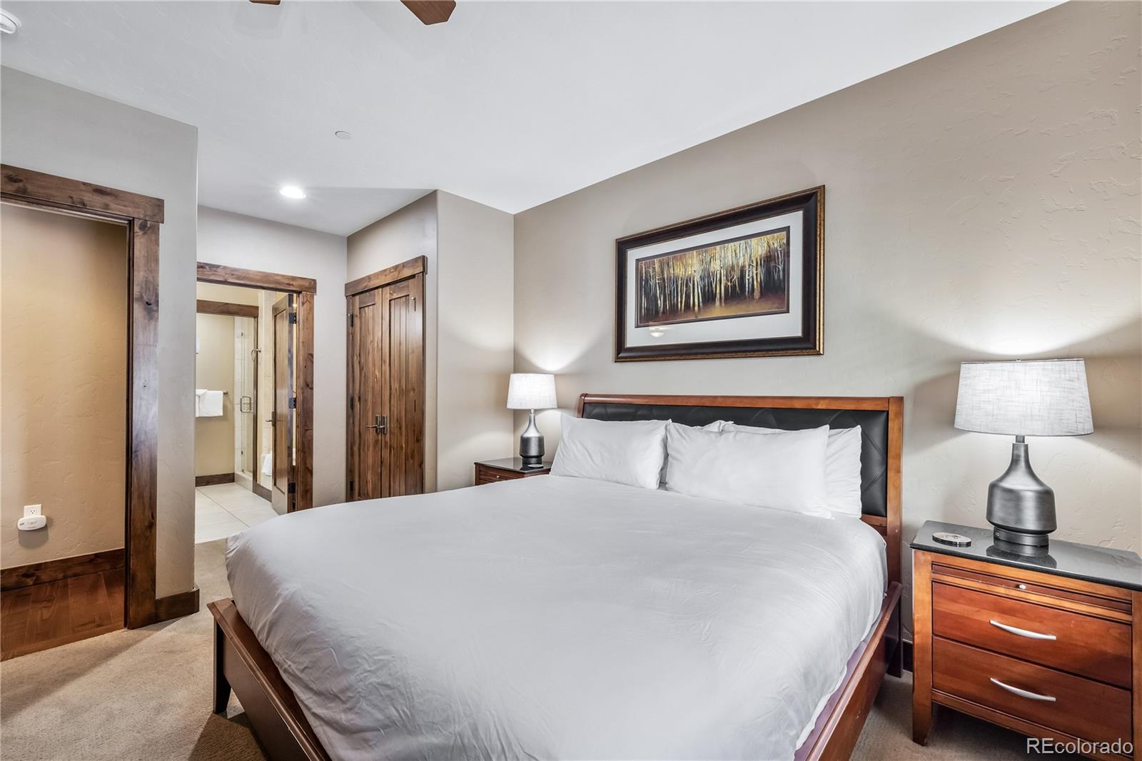 MLS Image #13 for 600  columbine road,breckenridge, Colorado