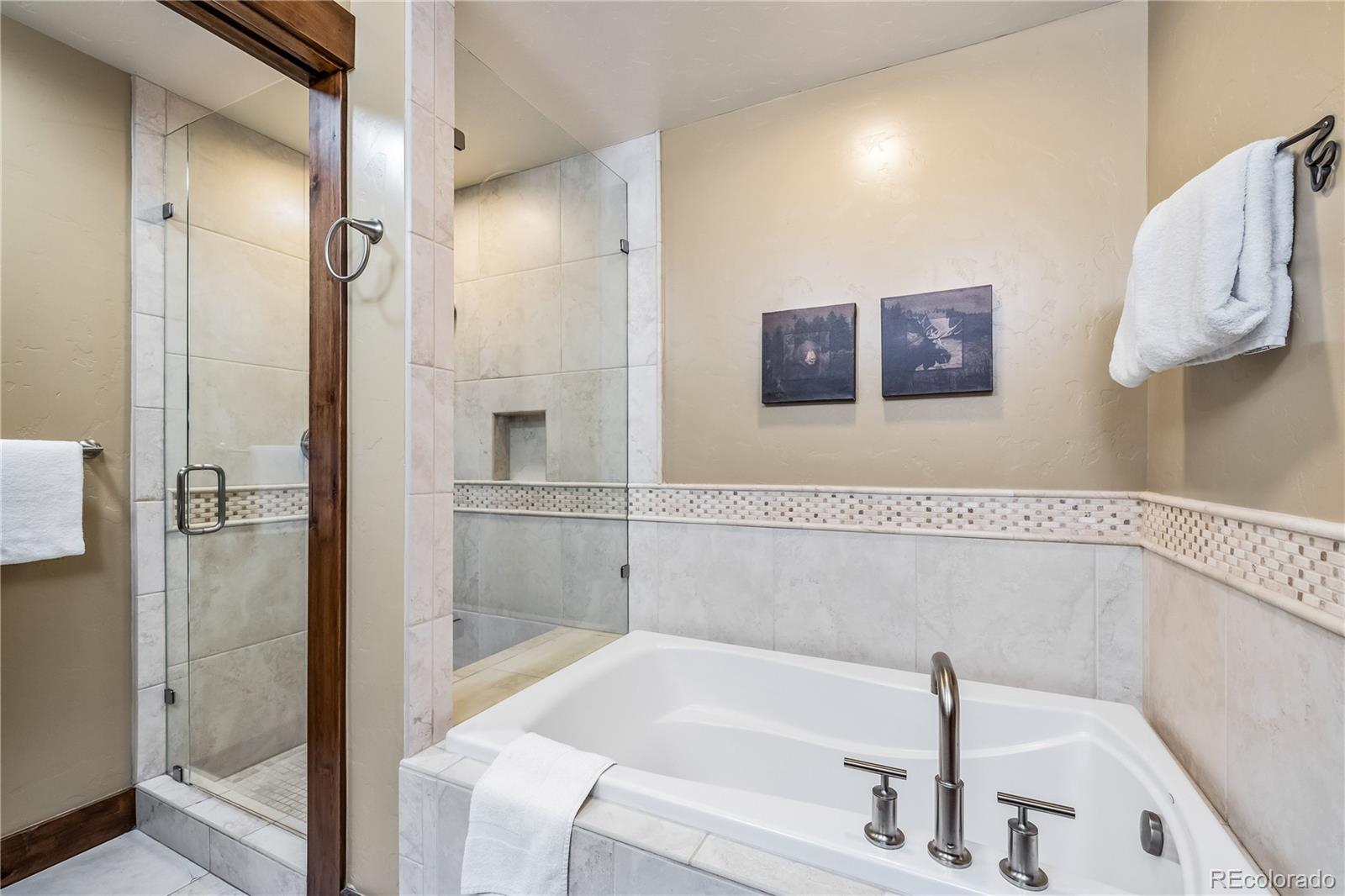 MLS Image #18 for 600  columbine road,breckenridge, Colorado