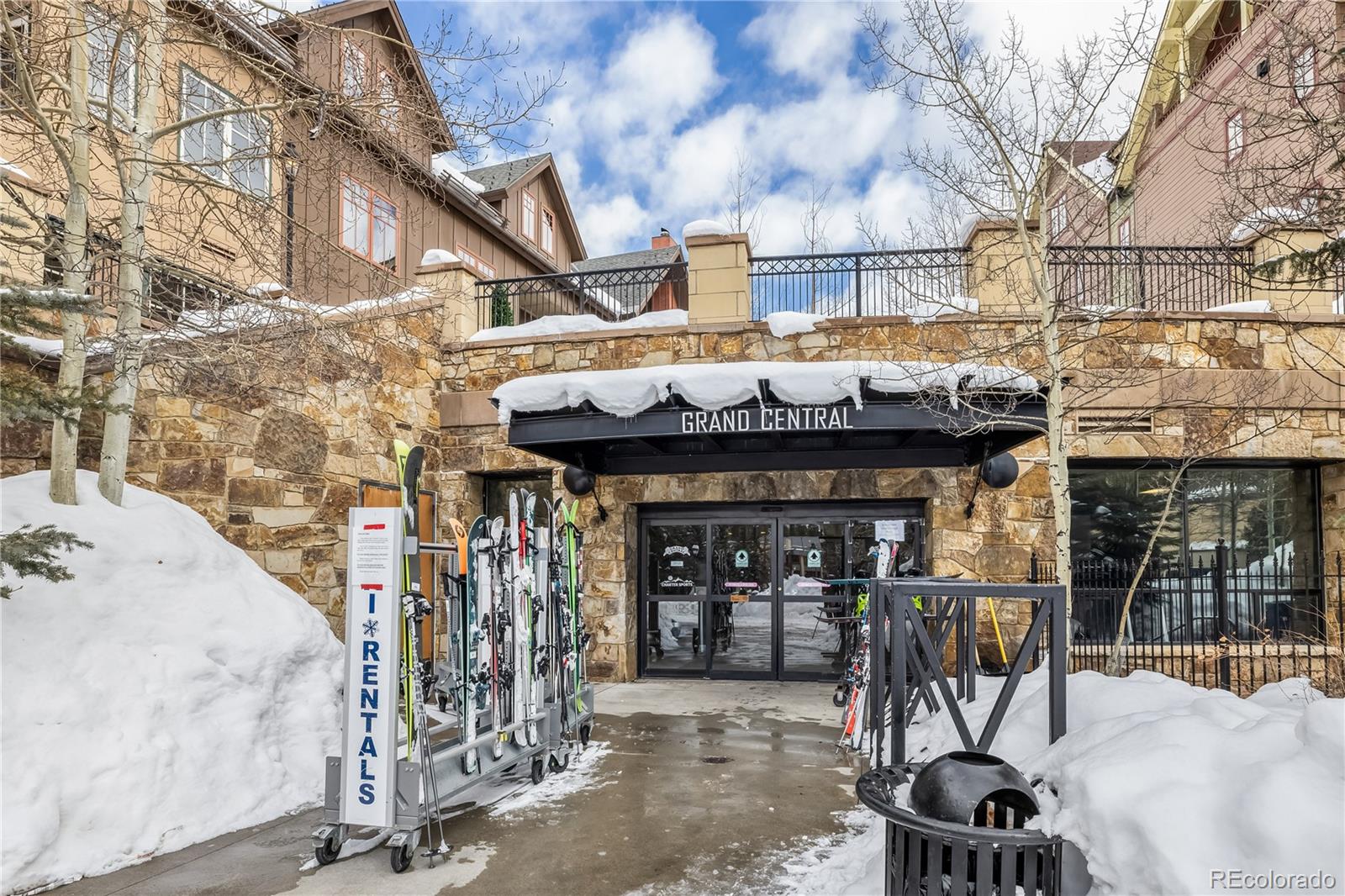 MLS Image #20 for 600  columbine road,breckenridge, Colorado