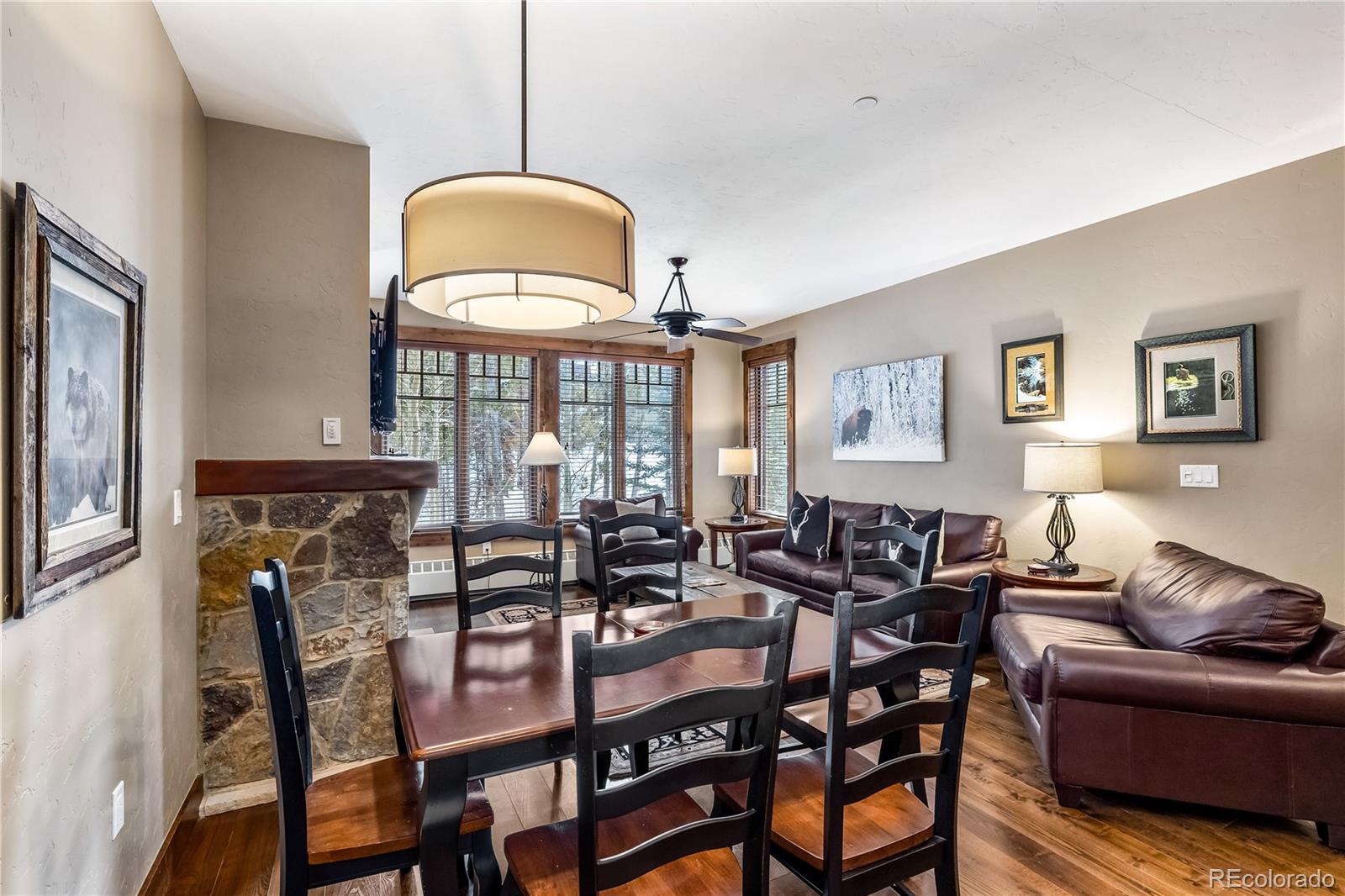 MLS Image #6 for 600  columbine road,breckenridge, Colorado