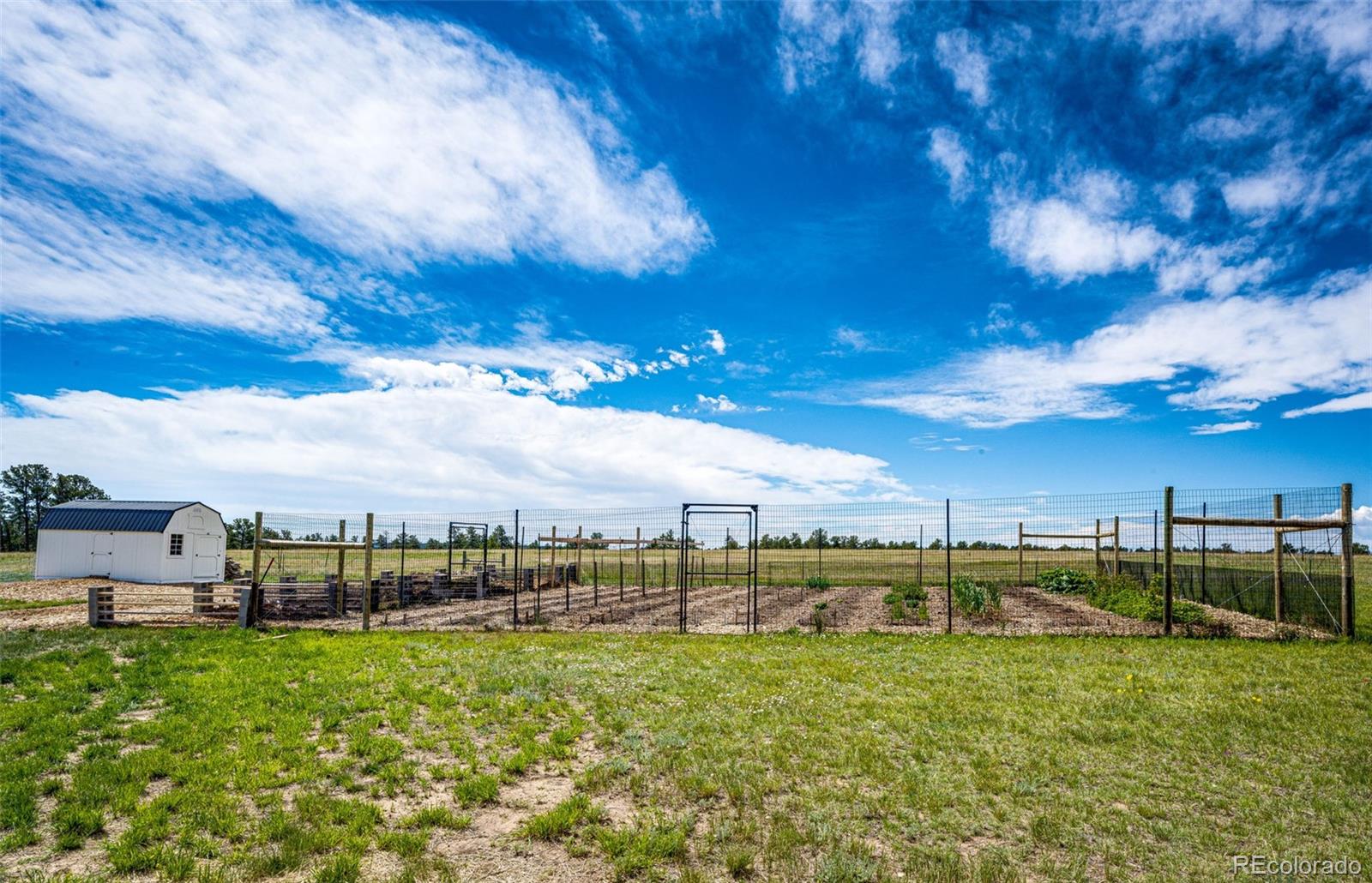 MLS Image #8 for 6206  county road 102 ,elbert, Colorado