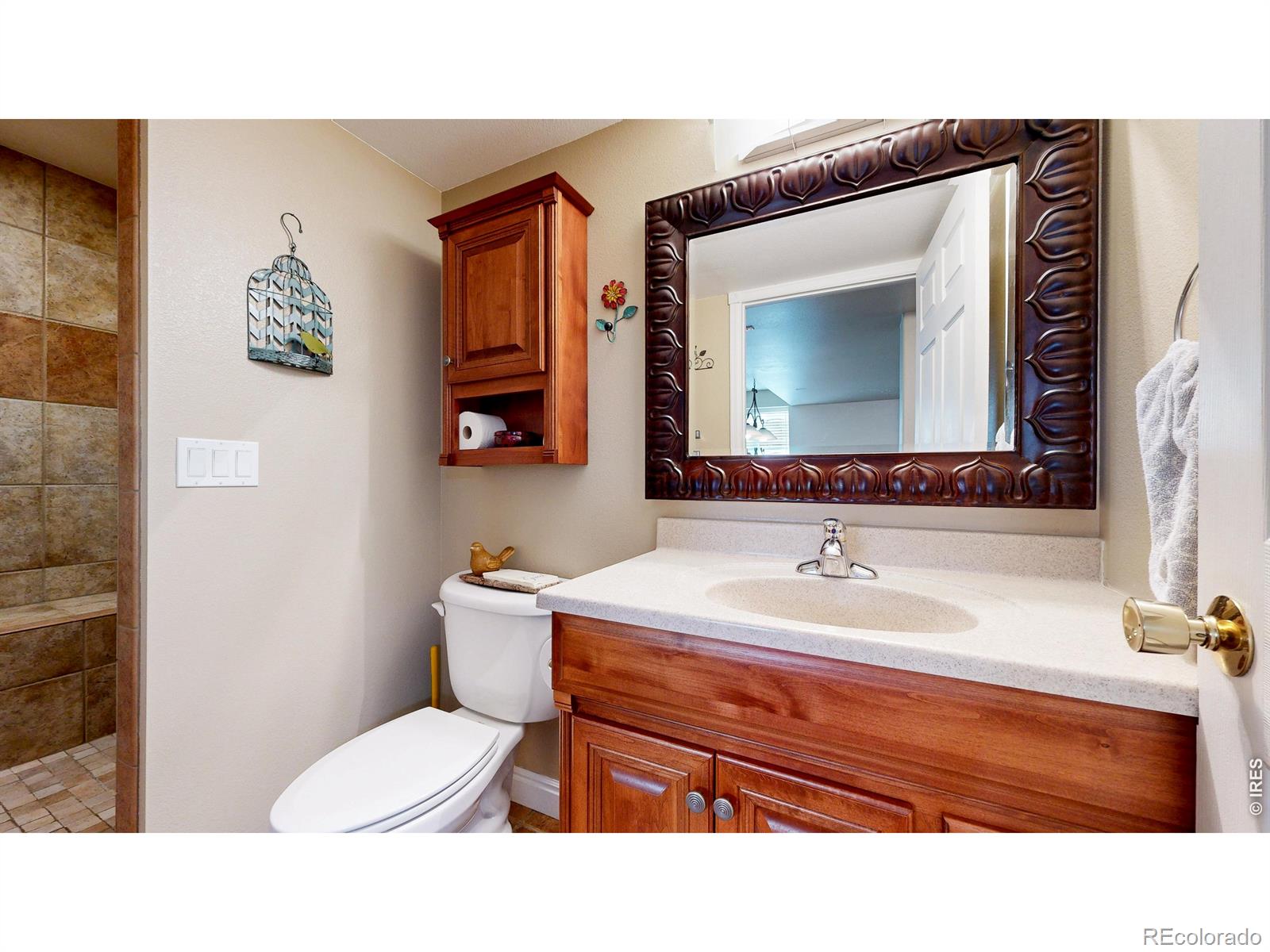 MLS Image #26 for 1107  san miguel drive,severance, Colorado