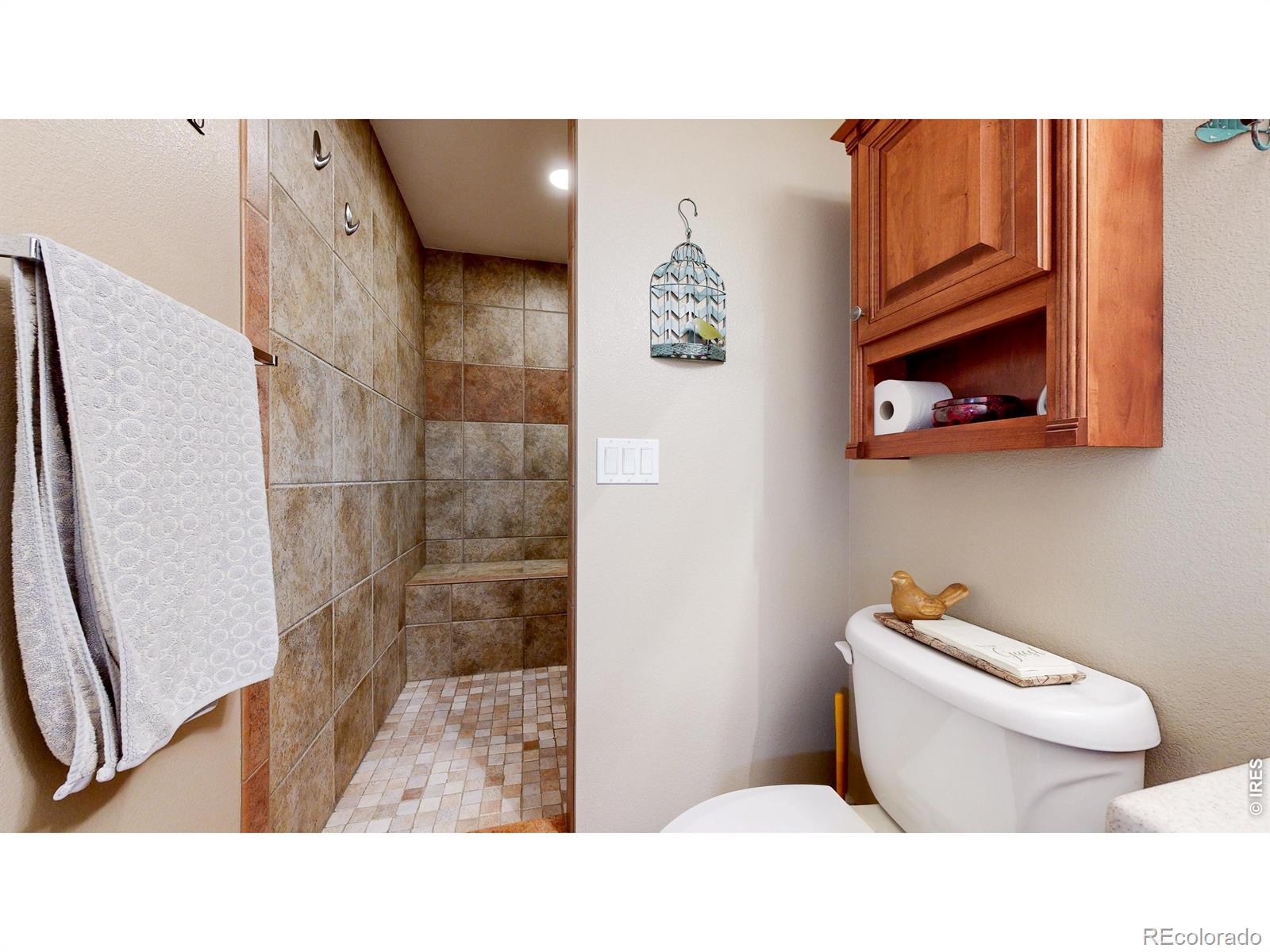 MLS Image #27 for 1107  san miguel drive,severance, Colorado