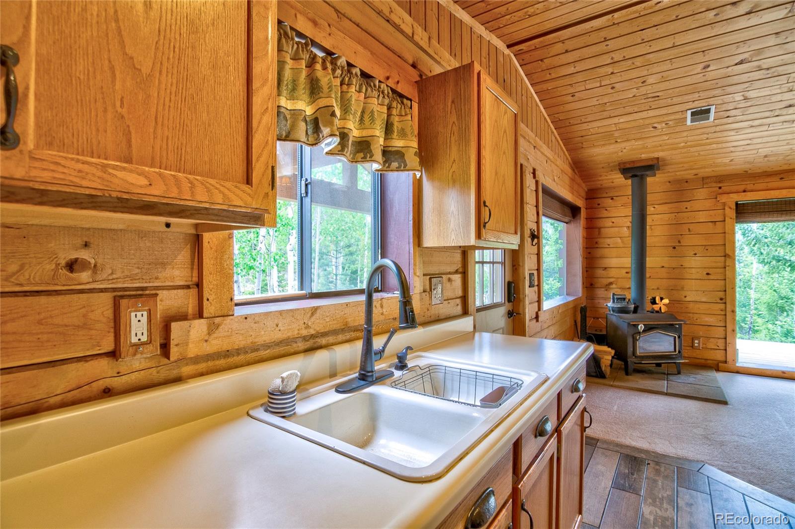 MLS Image #10 for 130  summit way,bailey, Colorado
