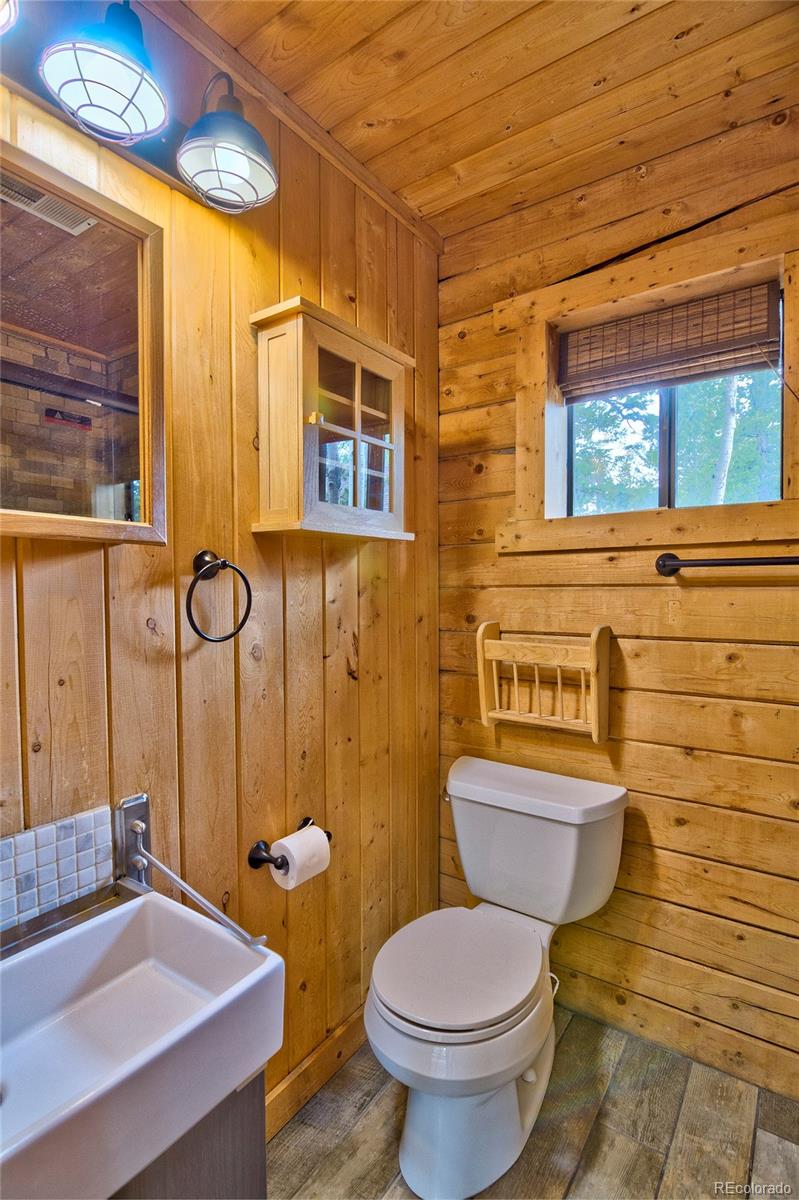 MLS Image #13 for 130  summit way,bailey, Colorado