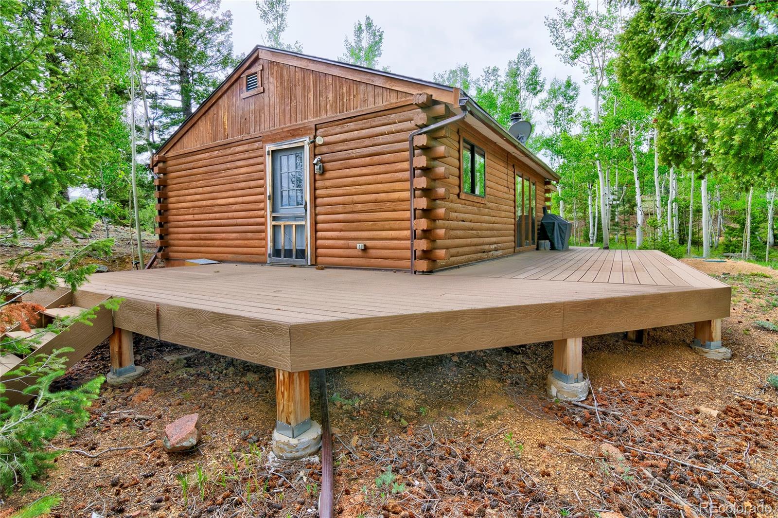 MLS Image #17 for 130  summit way,bailey, Colorado