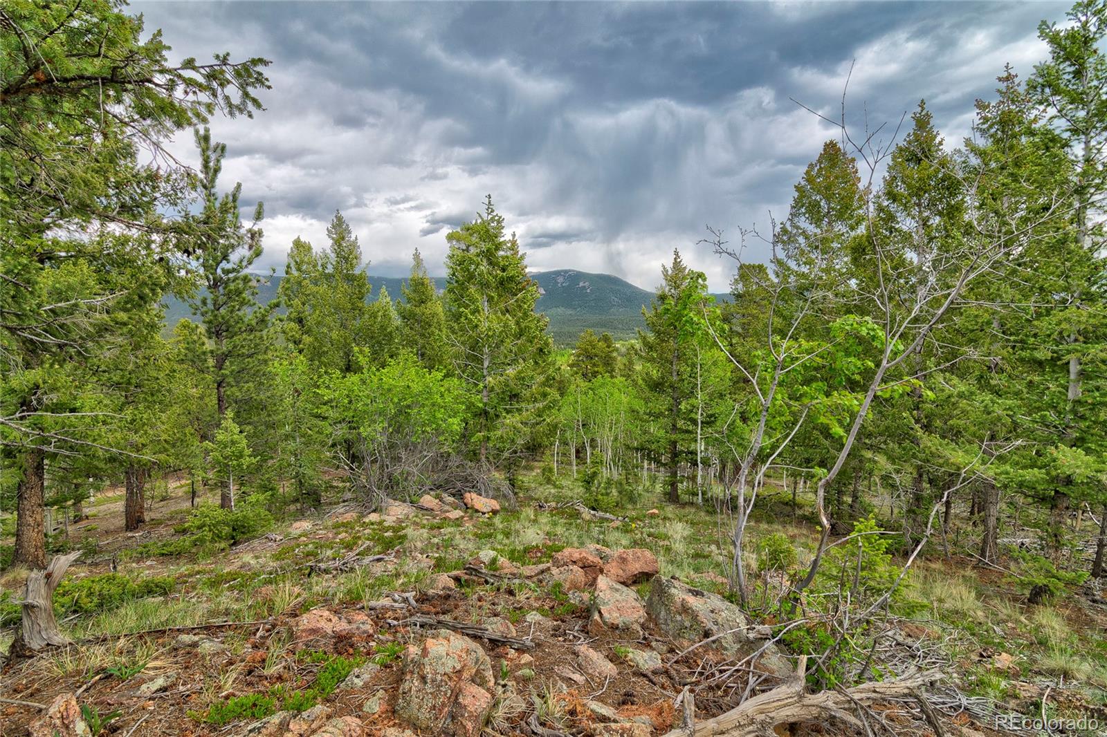 MLS Image #20 for 130  summit way,bailey, Colorado