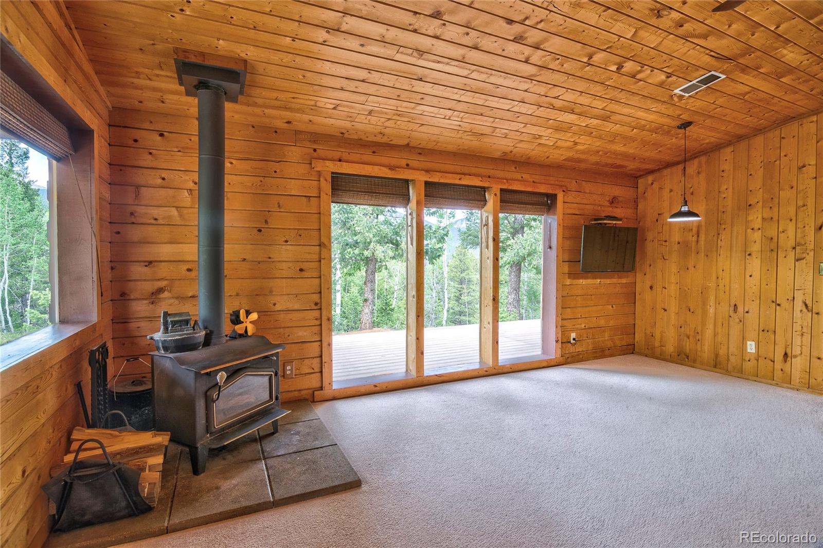 MLS Image #3 for 130  summit way,bailey, Colorado