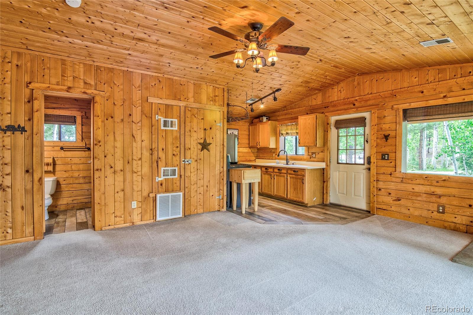 MLS Image #4 for 130  summit way,bailey, Colorado