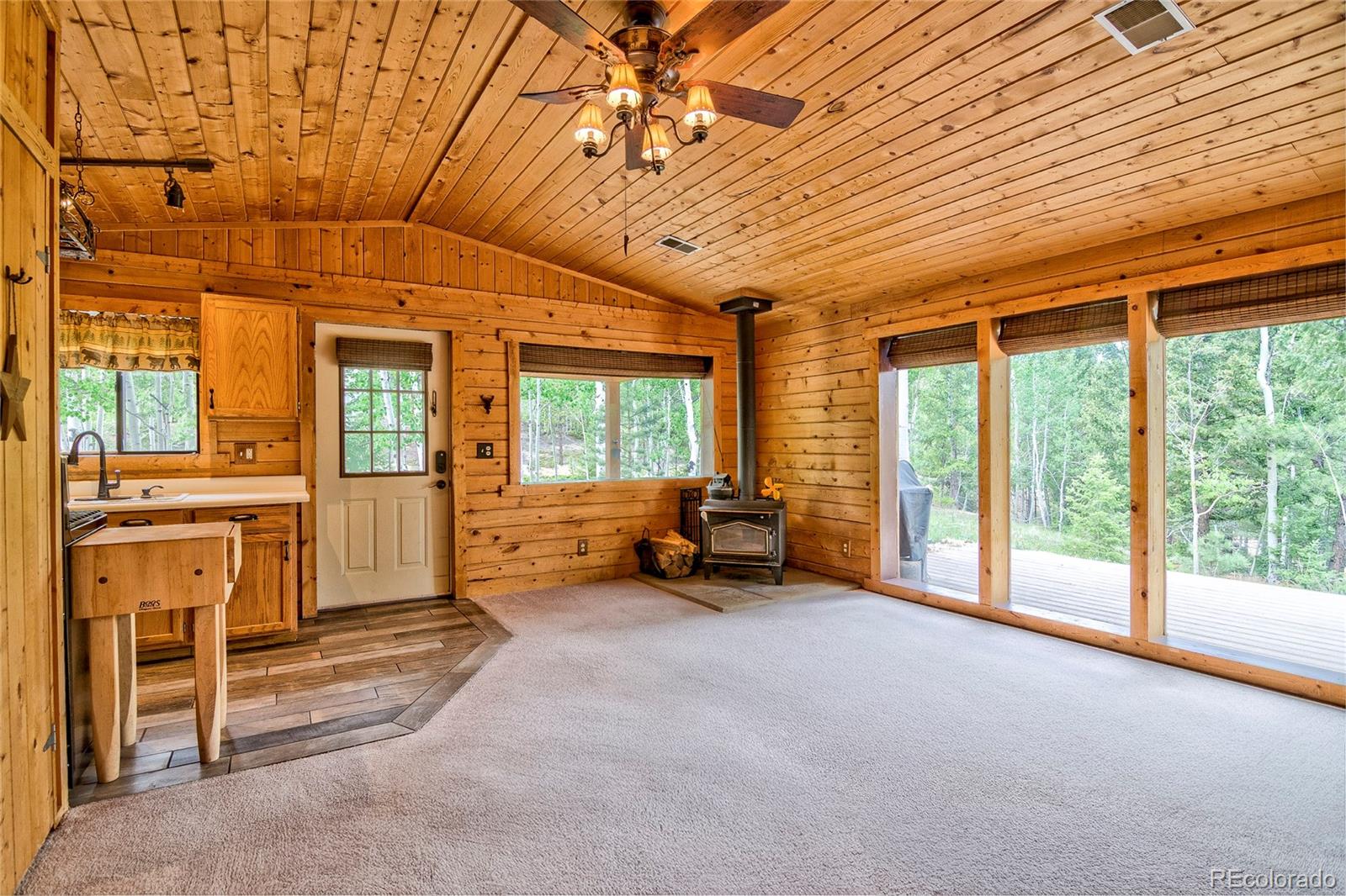 MLS Image #5 for 130  summit way,bailey, Colorado