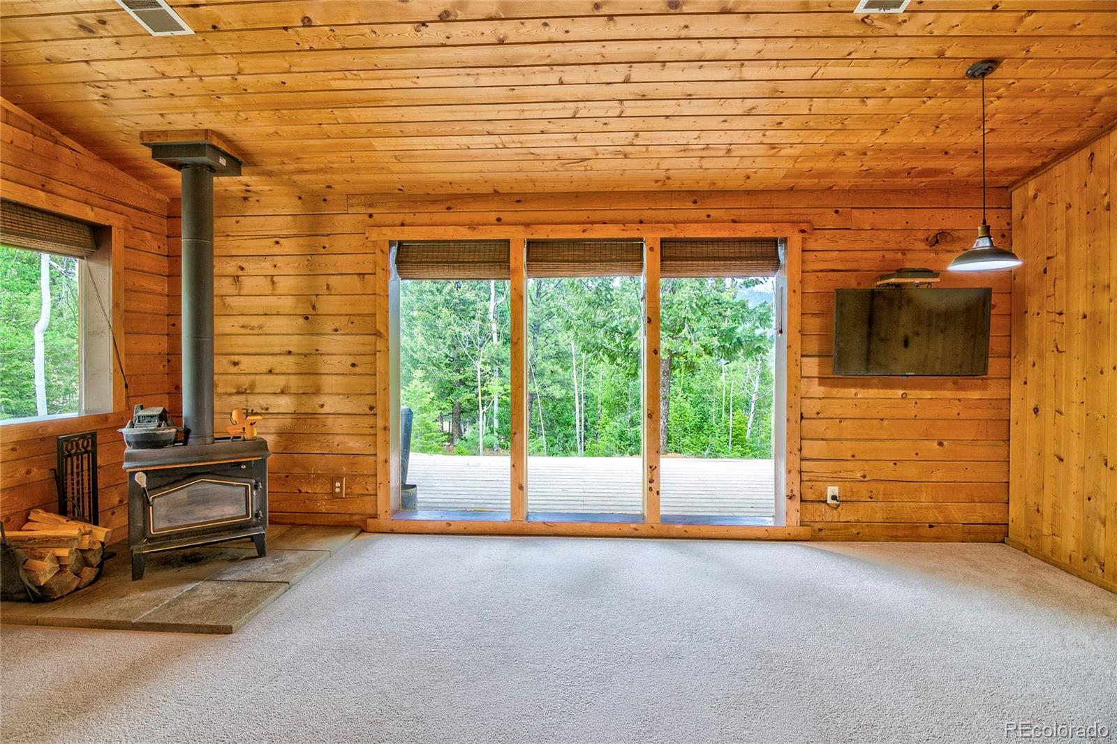 MLS Image #6 for 130  summit way,bailey, Colorado