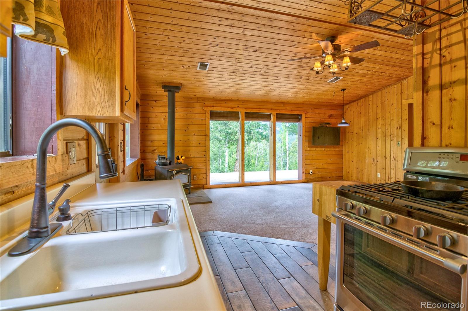 MLS Image #9 for 130  summit way,bailey, Colorado