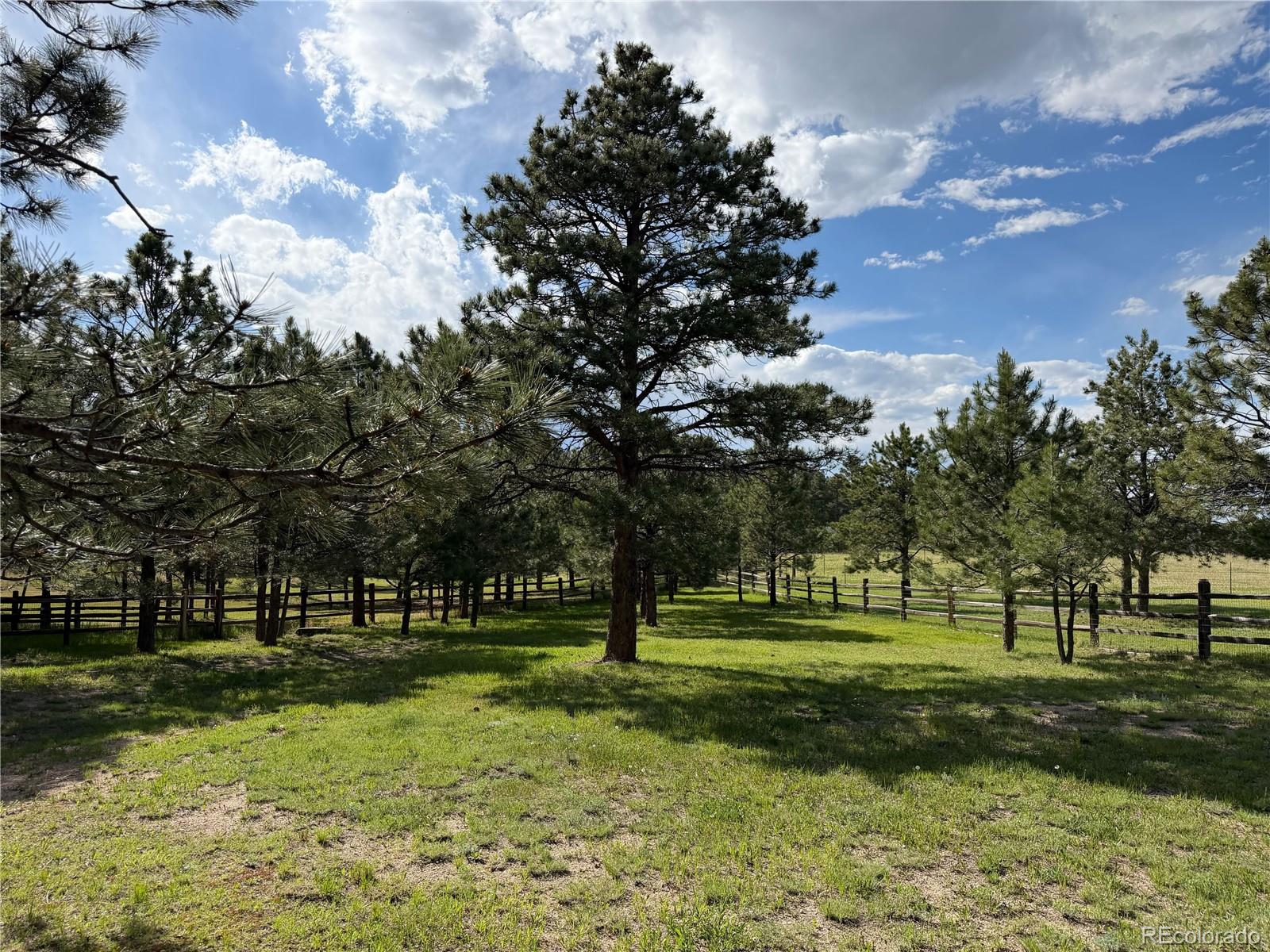 MLS Image #8 for 18330  bakers farm road,colorado springs, Colorado