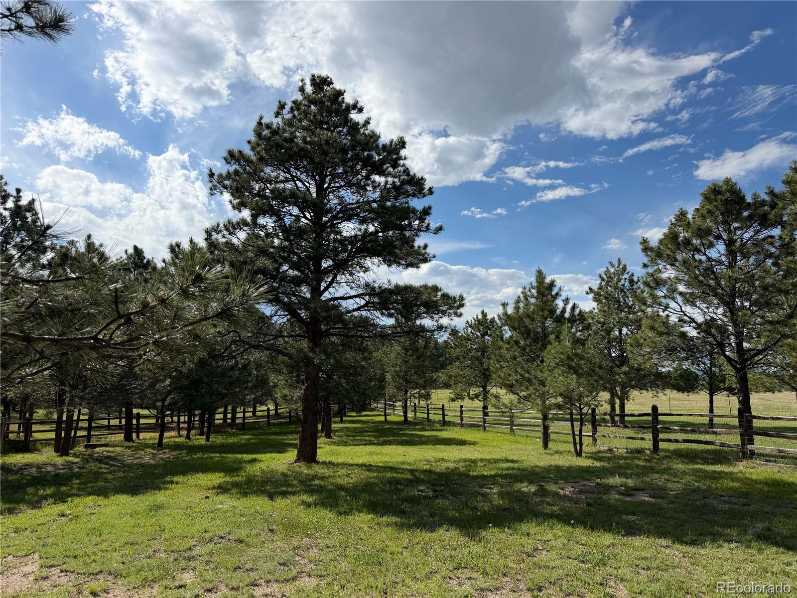 MLS Image #9 for 18330  bakers farm road,colorado springs, Colorado