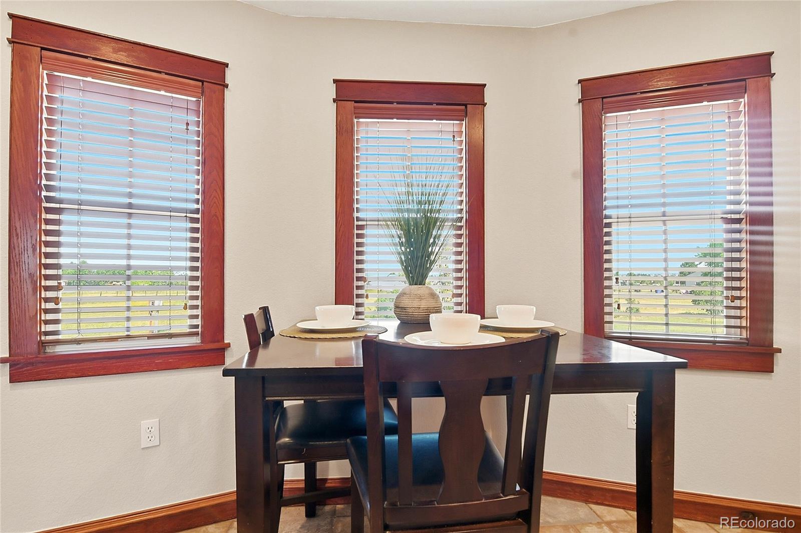 MLS Image #14 for 12426  1st street,parker, Colorado