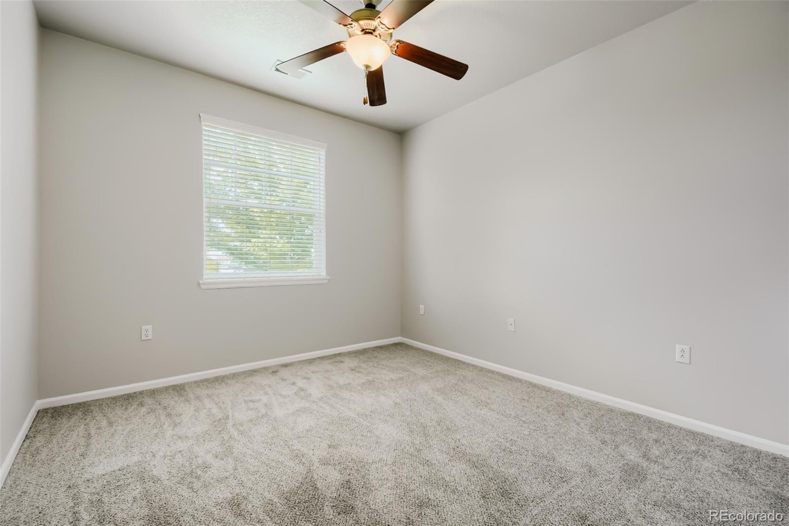 MLS Image #18 for 9907  martin luther king boulevard,denver, Colorado