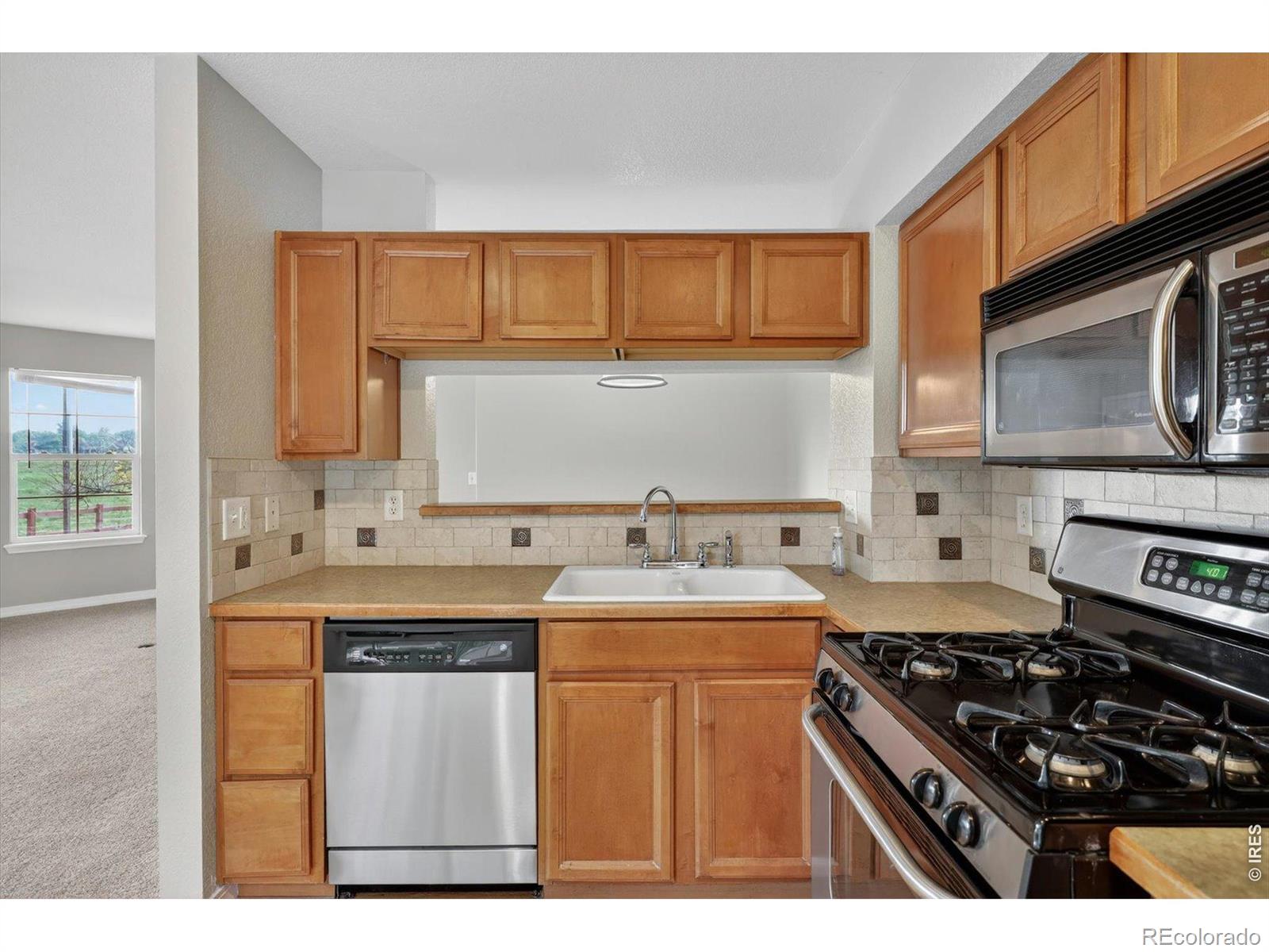 MLS Image #14 for 805  summer hawk drive,longmont, Colorado