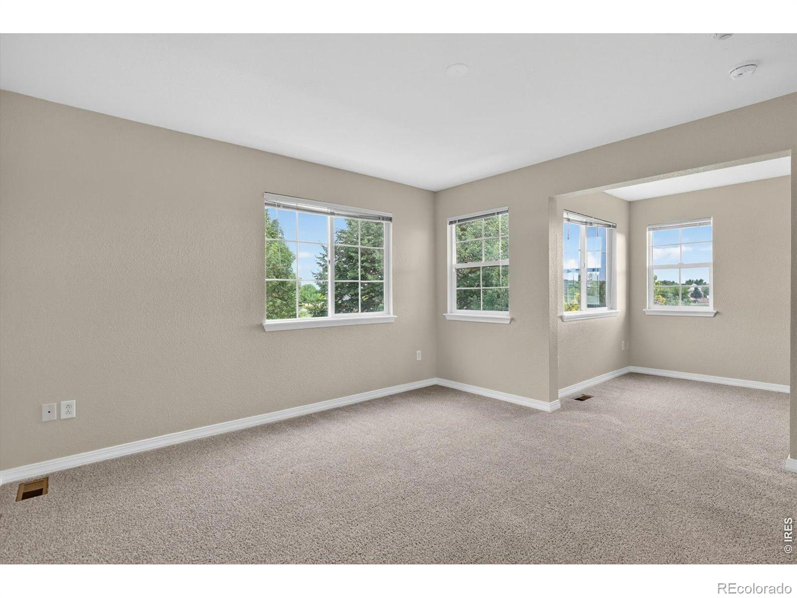 MLS Image #18 for 805  summer hawk drive,longmont, Colorado