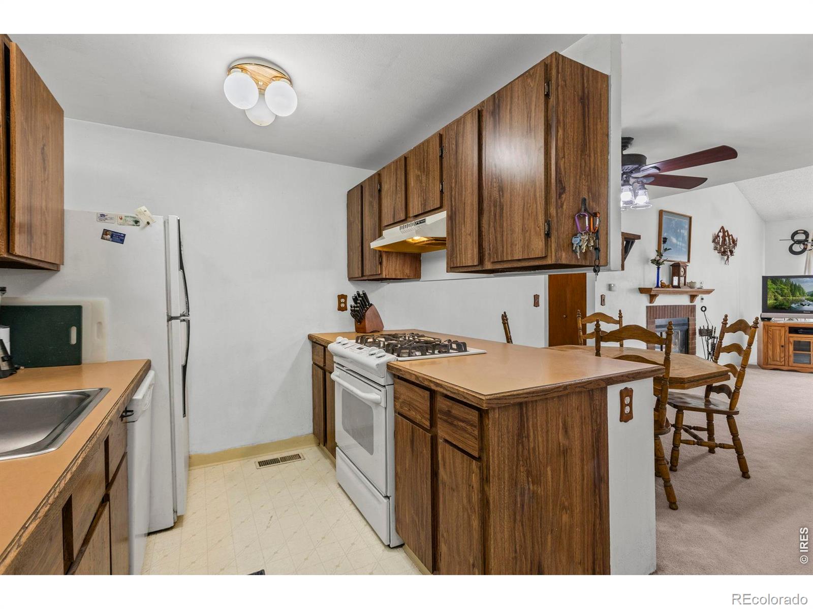 MLS Image #13 for 512  locust grove drive,fort collins, Colorado