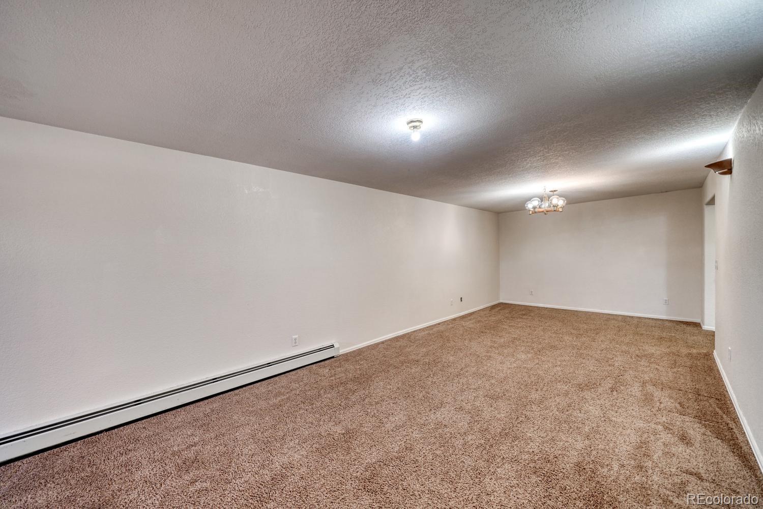 MLS Image #21 for 180  larissa lane,buena vista, Colorado