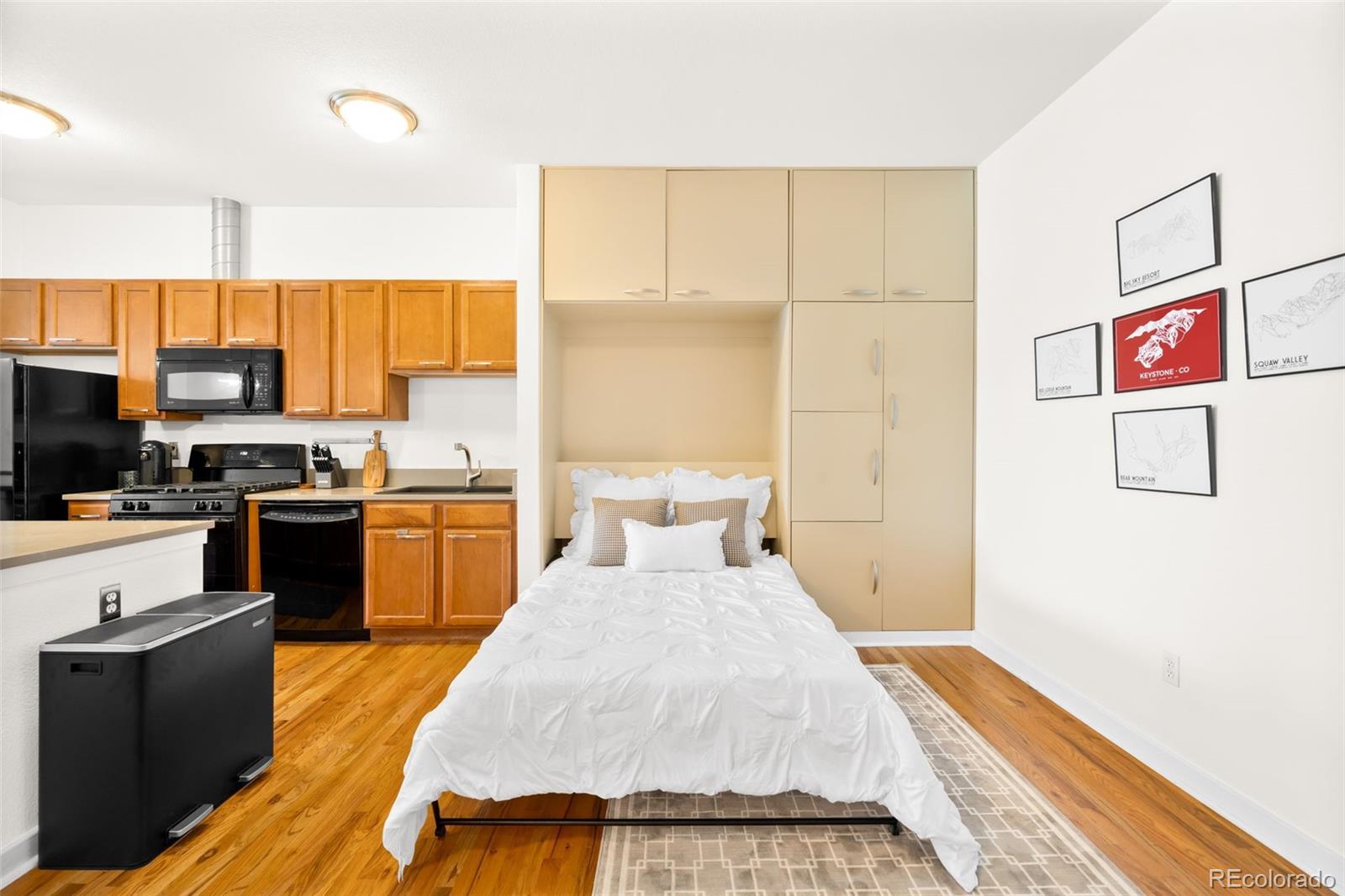 MLS Image #14 for 1441  central street,denver, Colorado