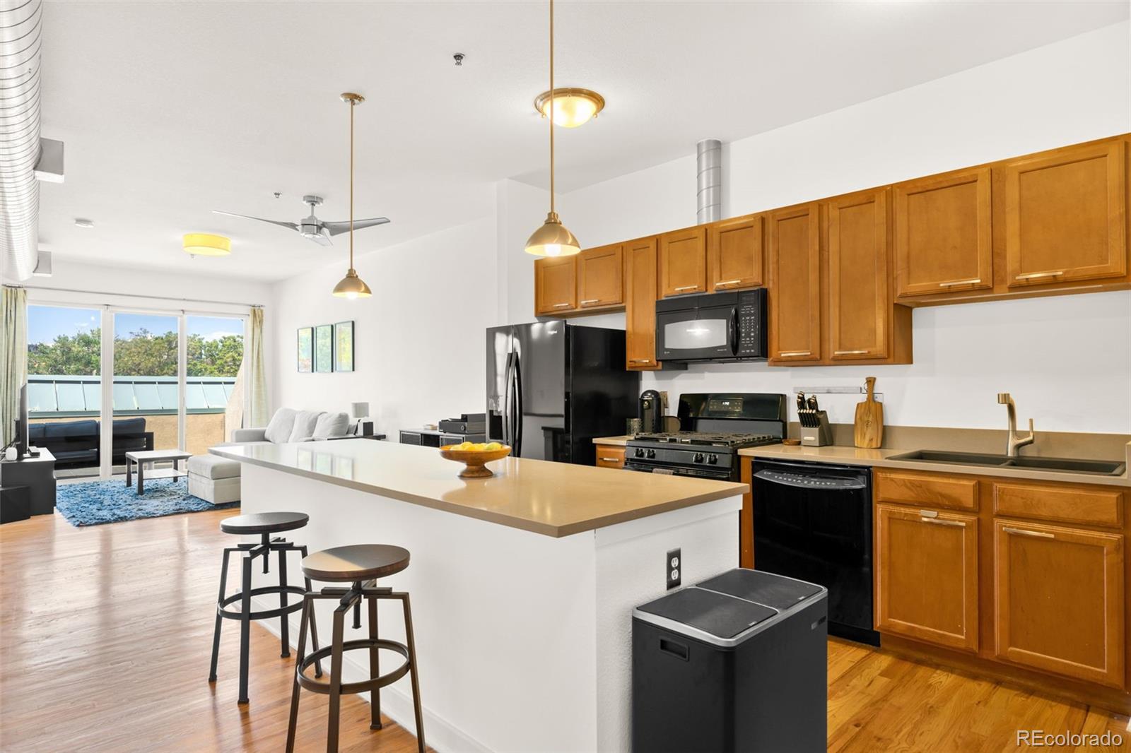 MLS Image #2 for 1441  central street,denver, Colorado