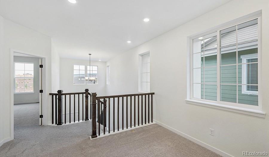 MLS Image #10 for 8761  whiptail loop,littleton, Colorado