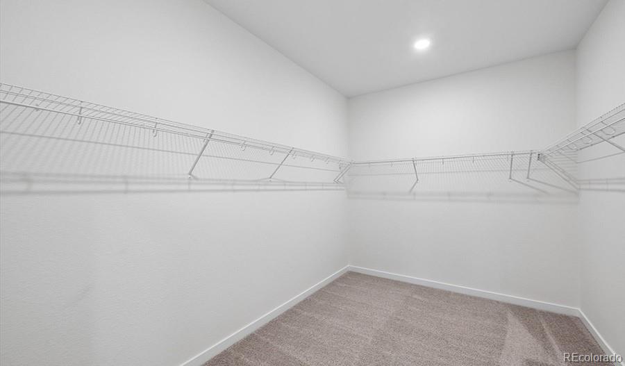 MLS Image #14 for 8761  whiptail loop,littleton, Colorado