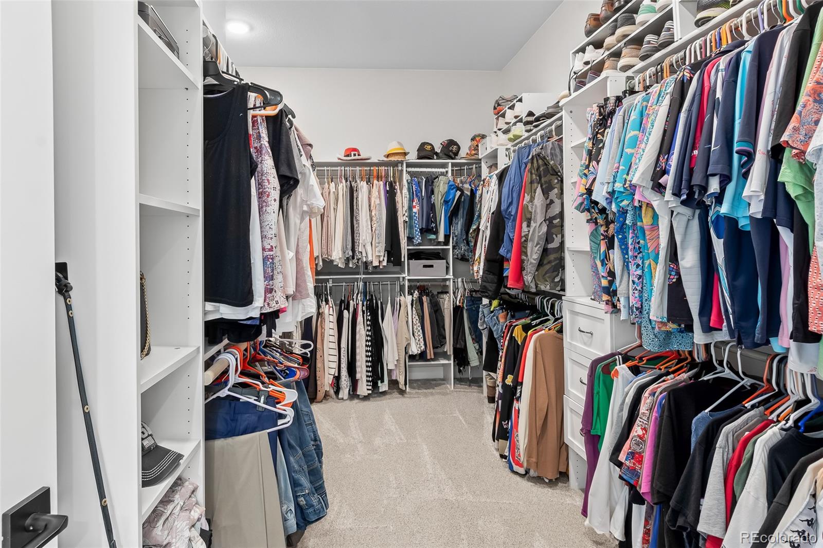 MLS Image #25 for 1881  blossom grove drive,windsor, Colorado