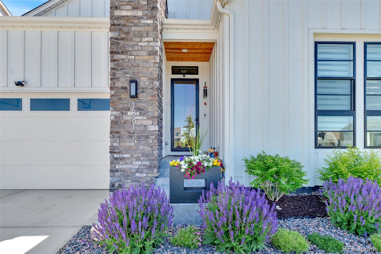 MLS Image #3 for 1881  blossom grove drive,windsor, Colorado