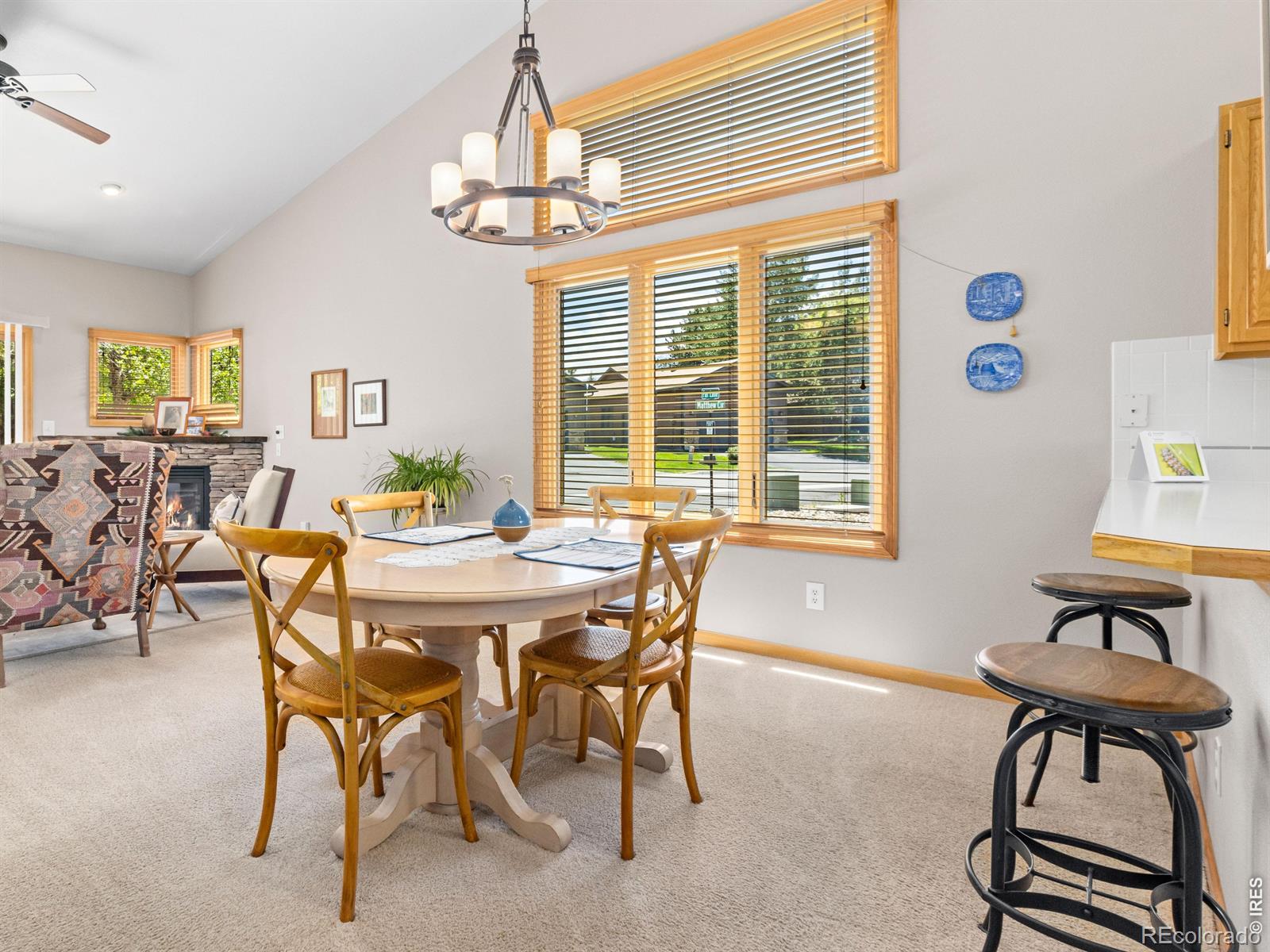 MLS Image #8 for 732  par lane,estes park, Colorado