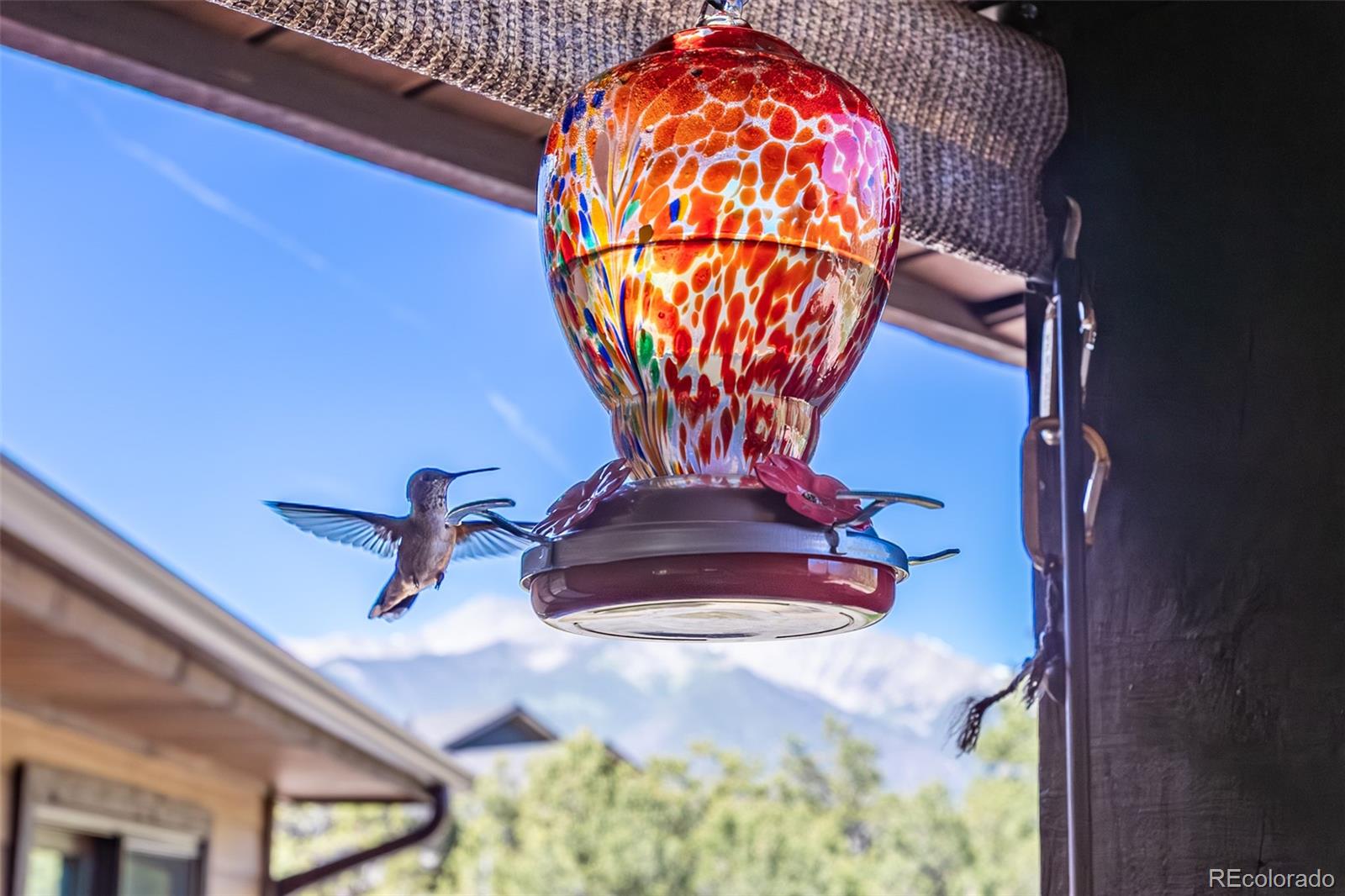 MLS Image #4 for 14978  mary murphy drive,nathrop, Colorado