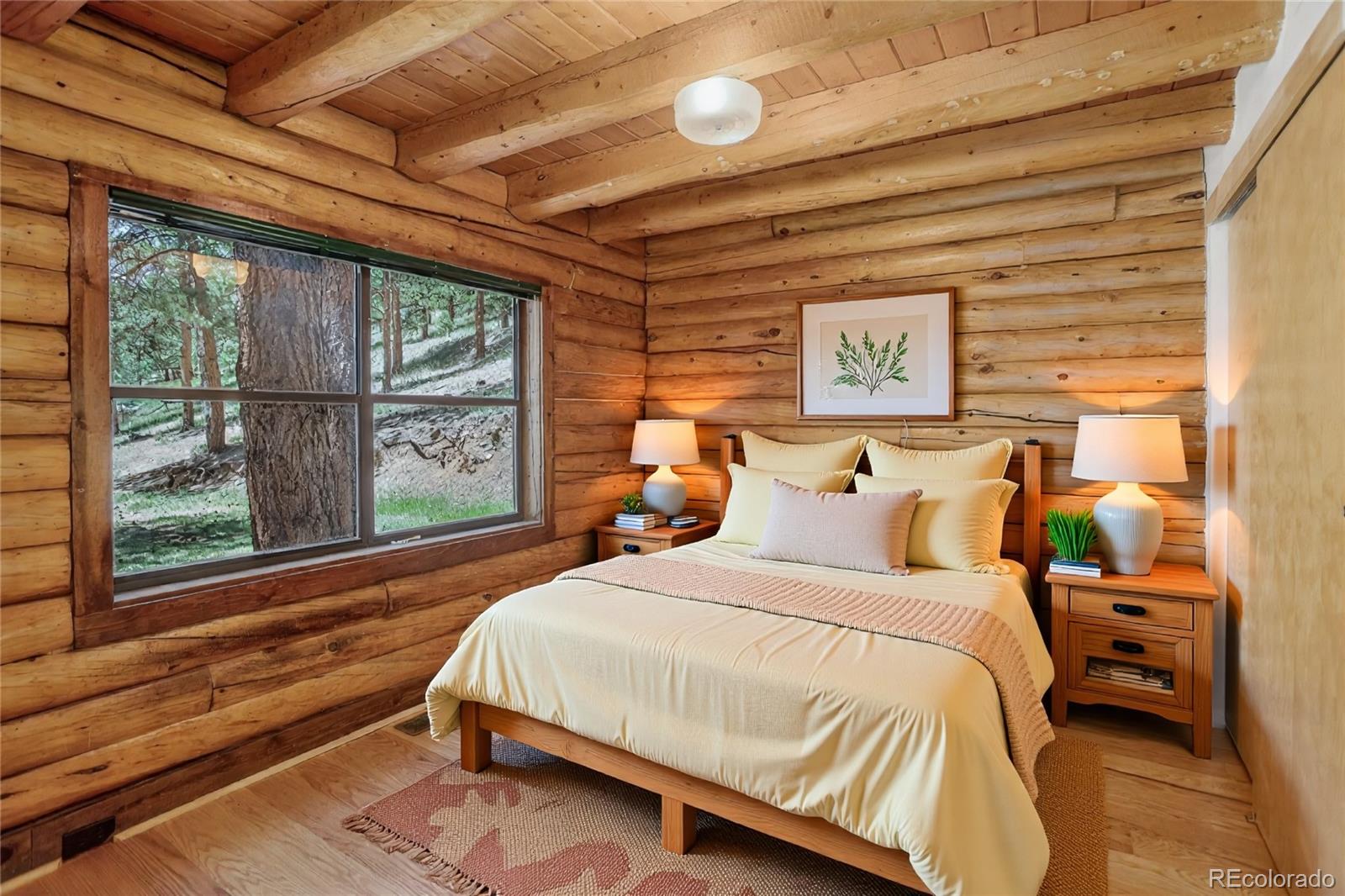 MLS Image #16 for 27723  pine valley drive,evergreen, Colorado