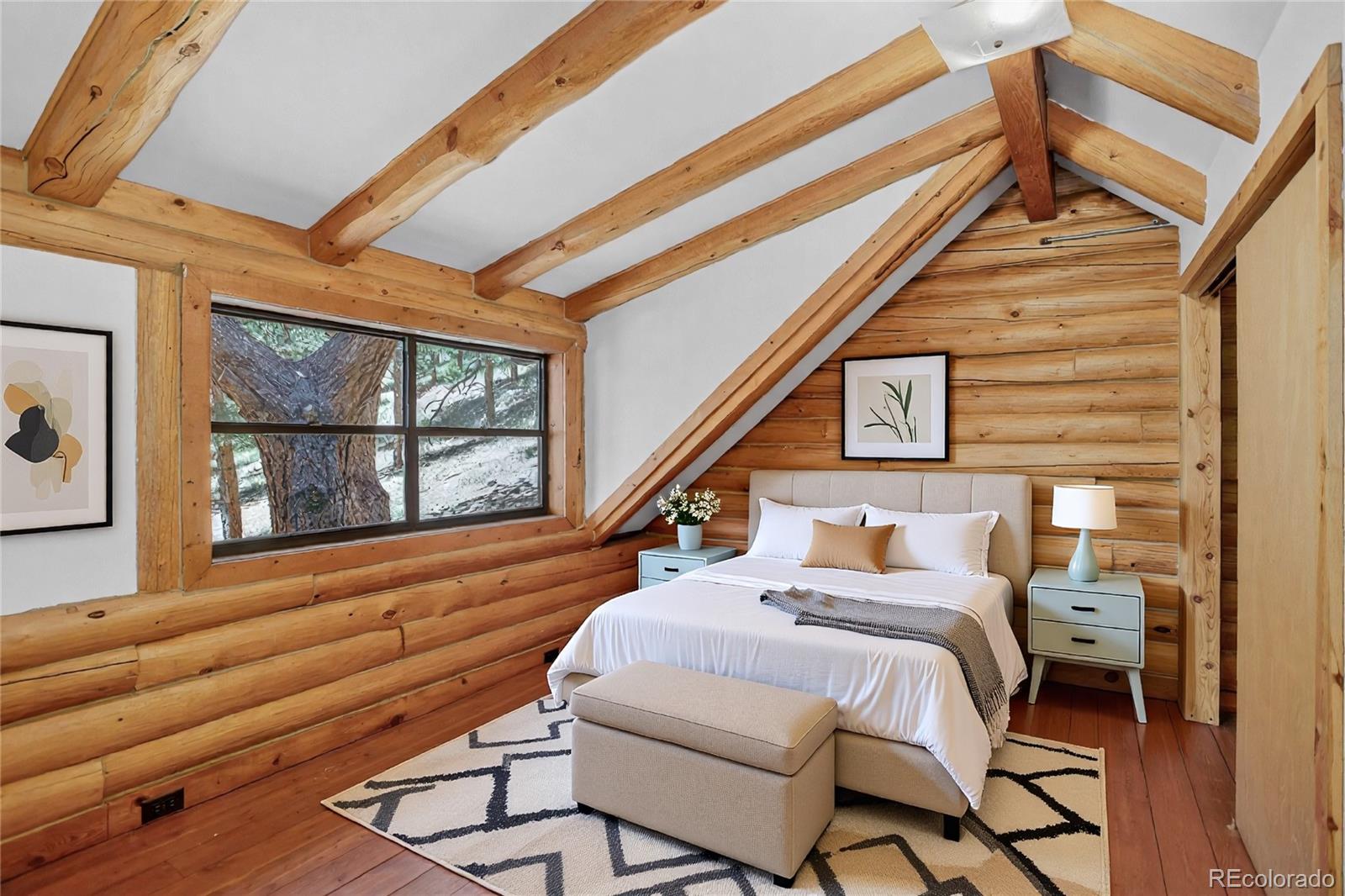 MLS Image #19 for 27723  pine valley drive,evergreen, Colorado