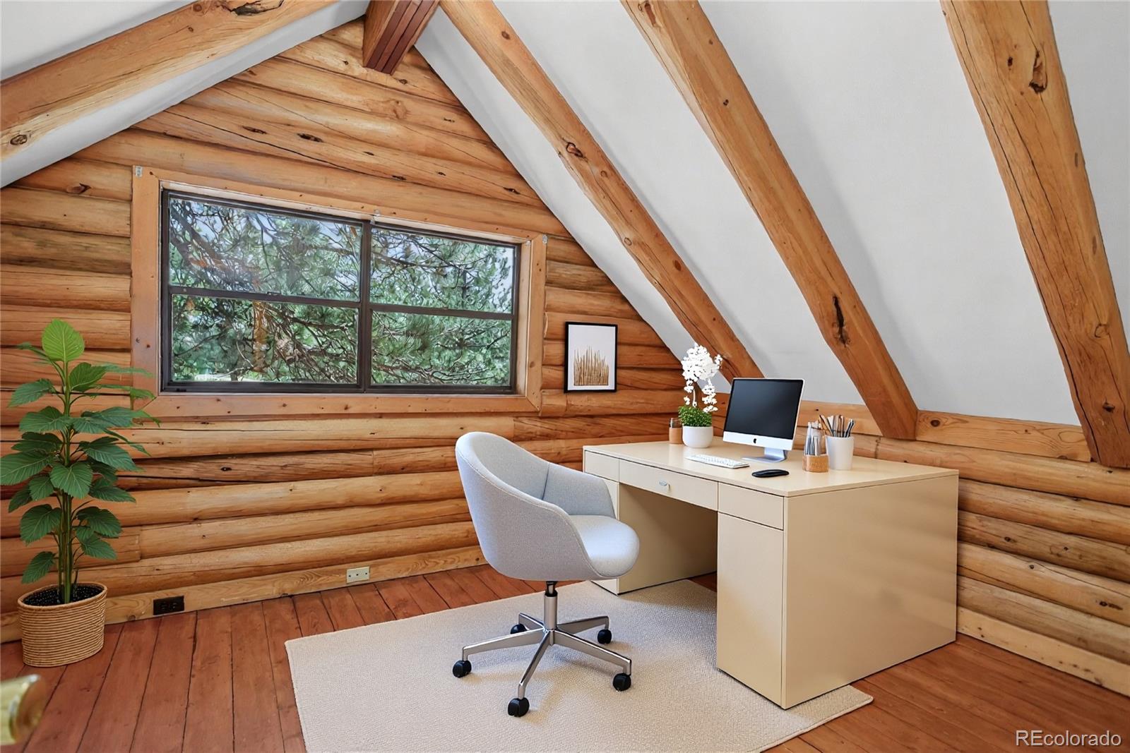 MLS Image #24 for 27723  pine valley drive,evergreen, Colorado