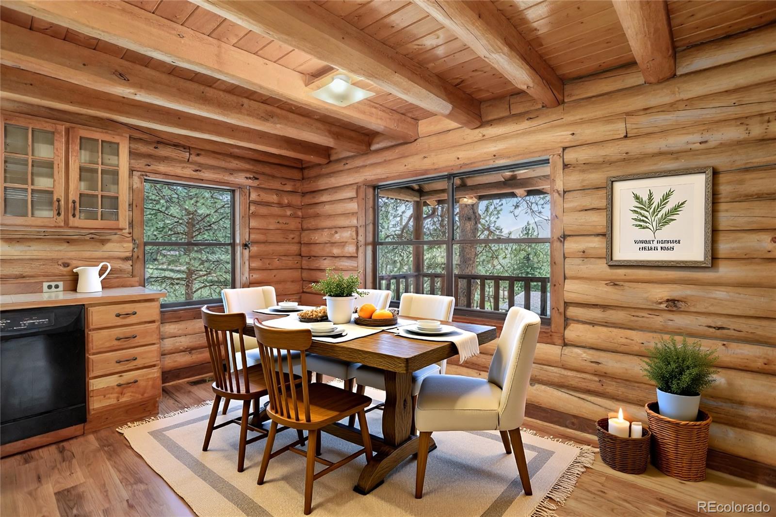 MLS Image #7 for 27723  pine valley drive,evergreen, Colorado