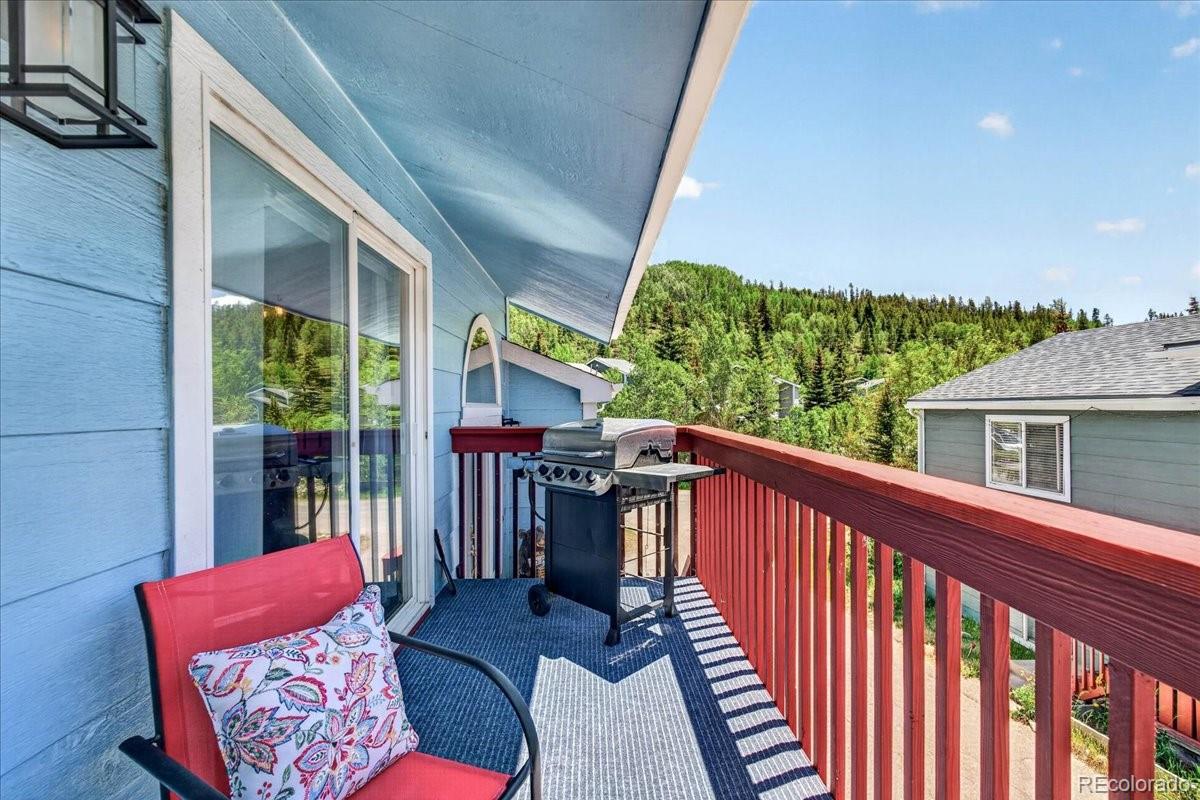 MLS Image #27 for 796  alpine road,dillon, Colorado