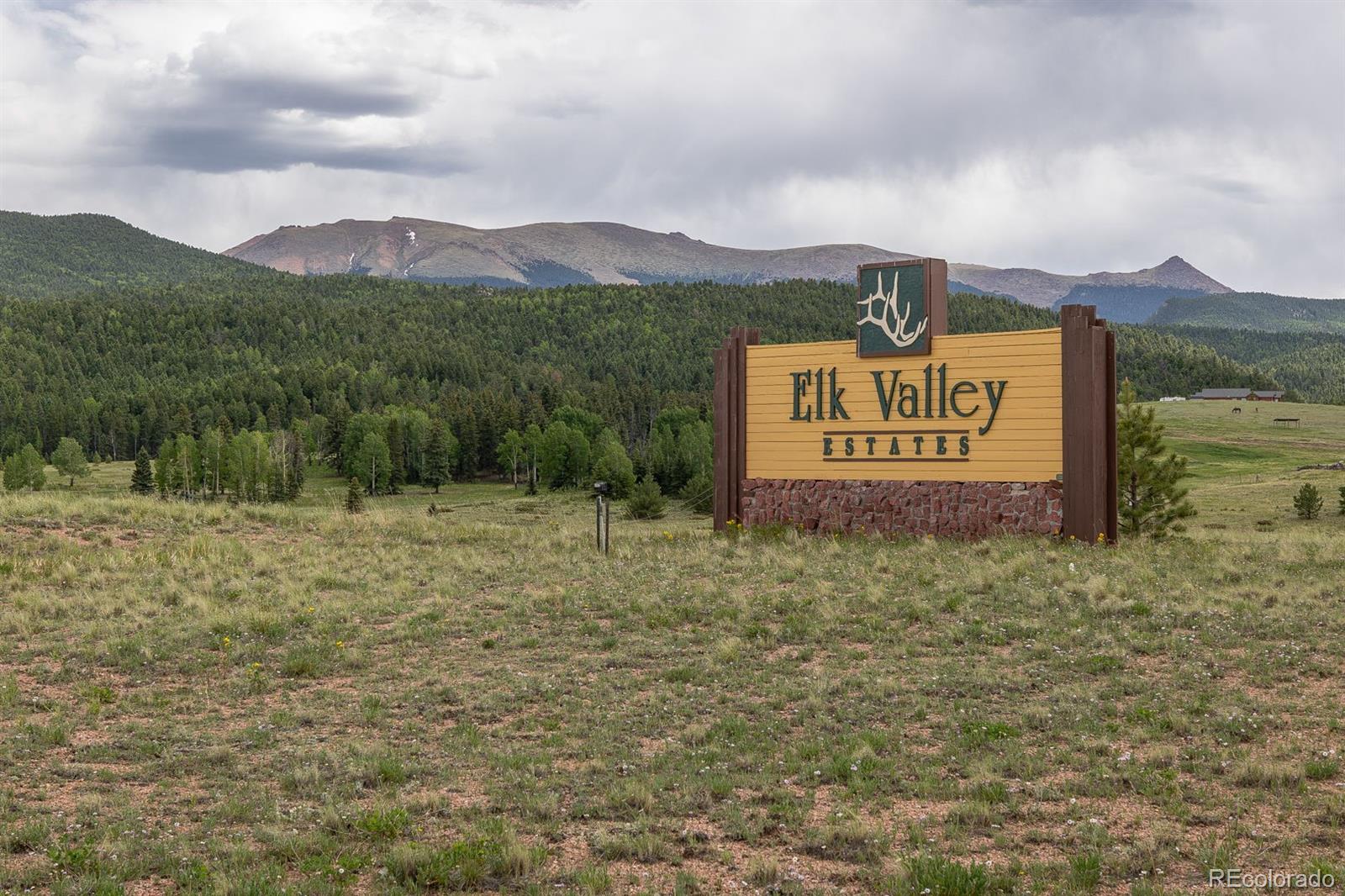 MLS Image #1 for 6100  elk valley road,divide, Colorado
