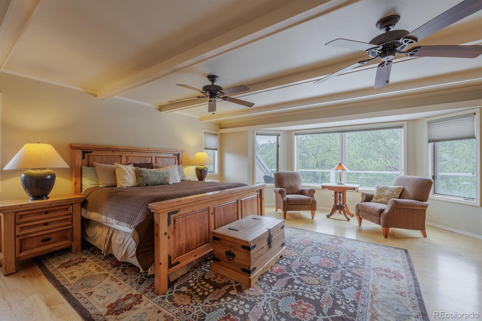 MLS Image #19 for 6100  elk valley road,divide, Colorado