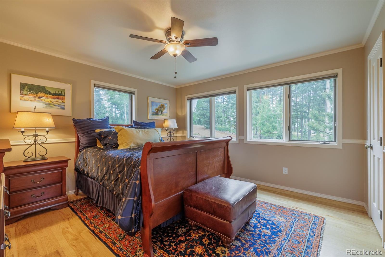 MLS Image #22 for 6100  elk valley road,divide, Colorado