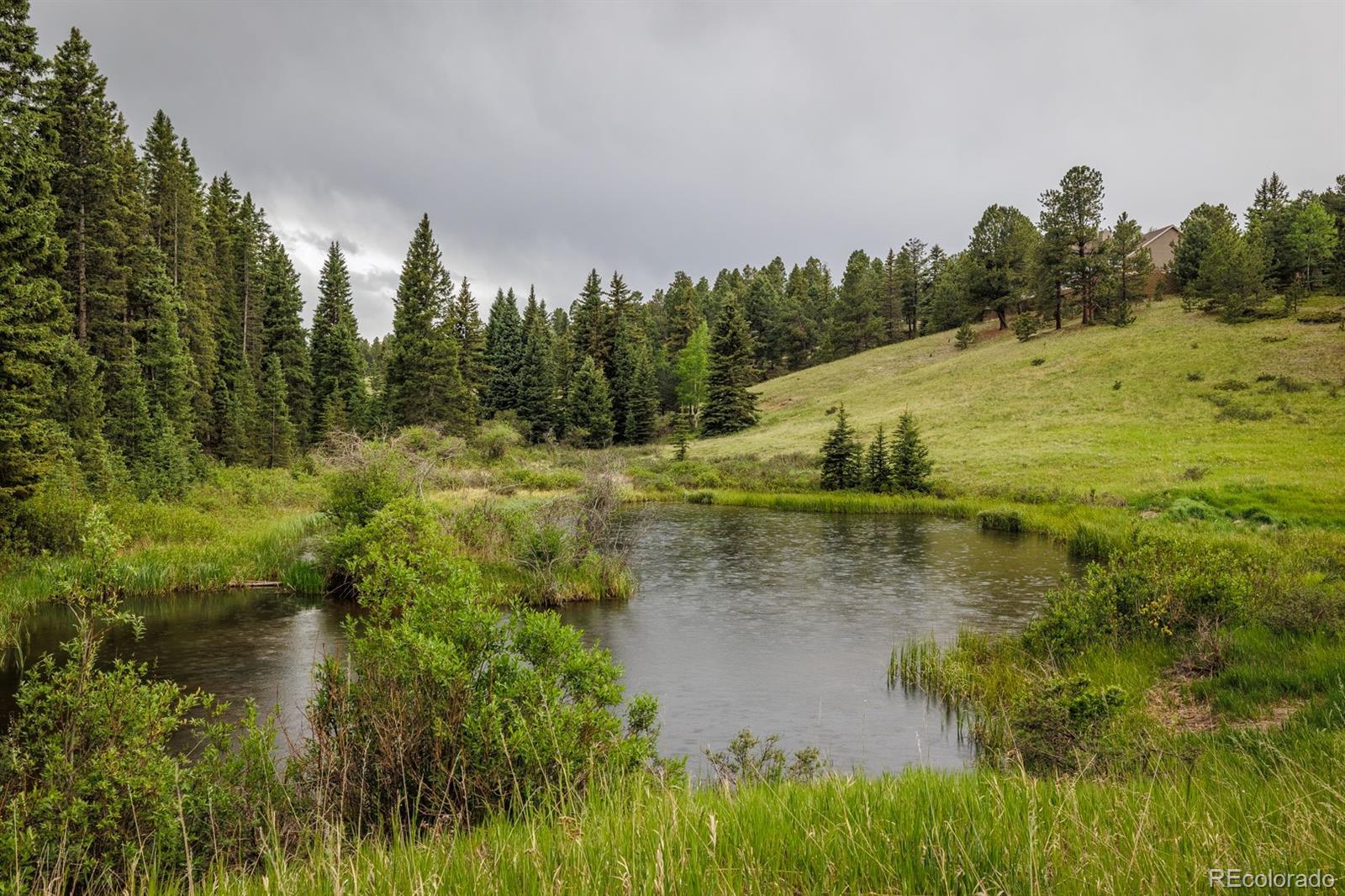 MLS Image #45 for 6100  elk valley road,divide, Colorado
