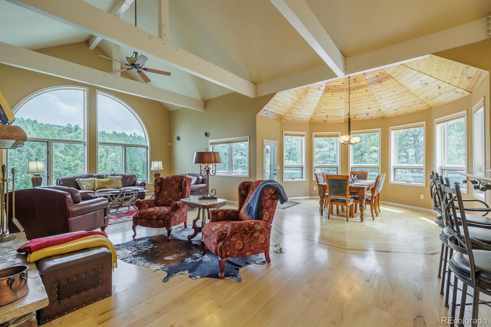 MLS Image #7 for 6100  elk valley road,divide, Colorado