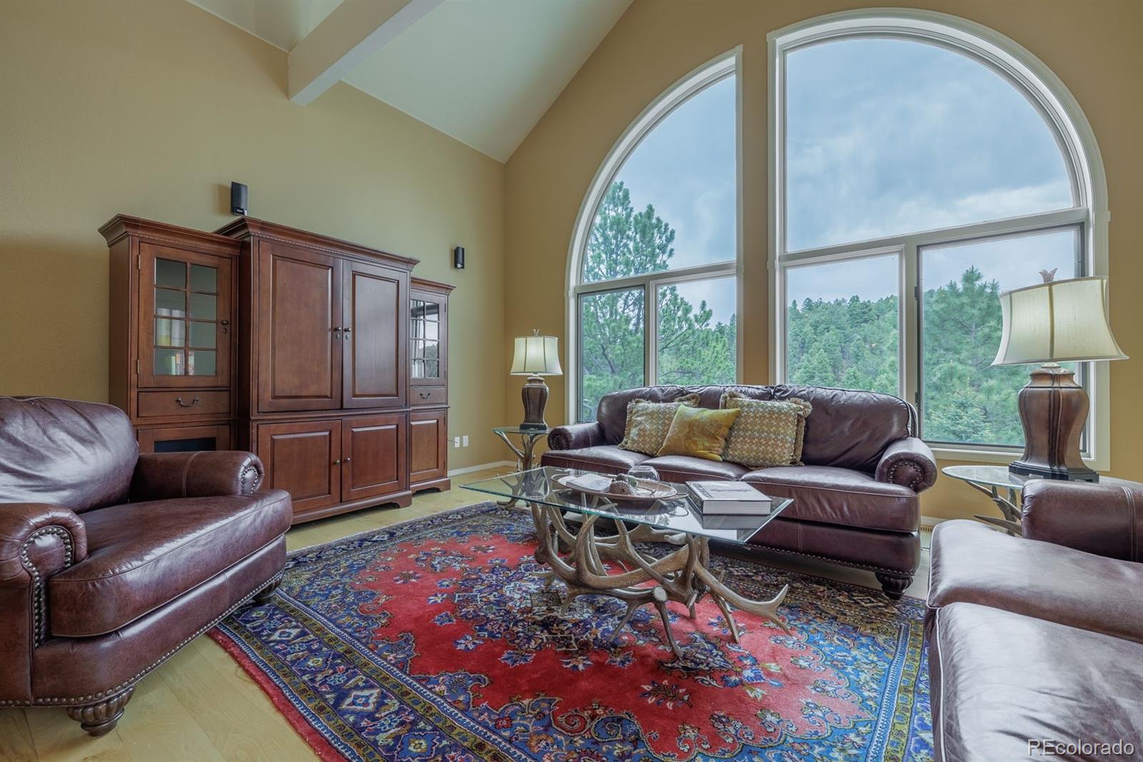 MLS Image #8 for 6100  elk valley road,divide, Colorado